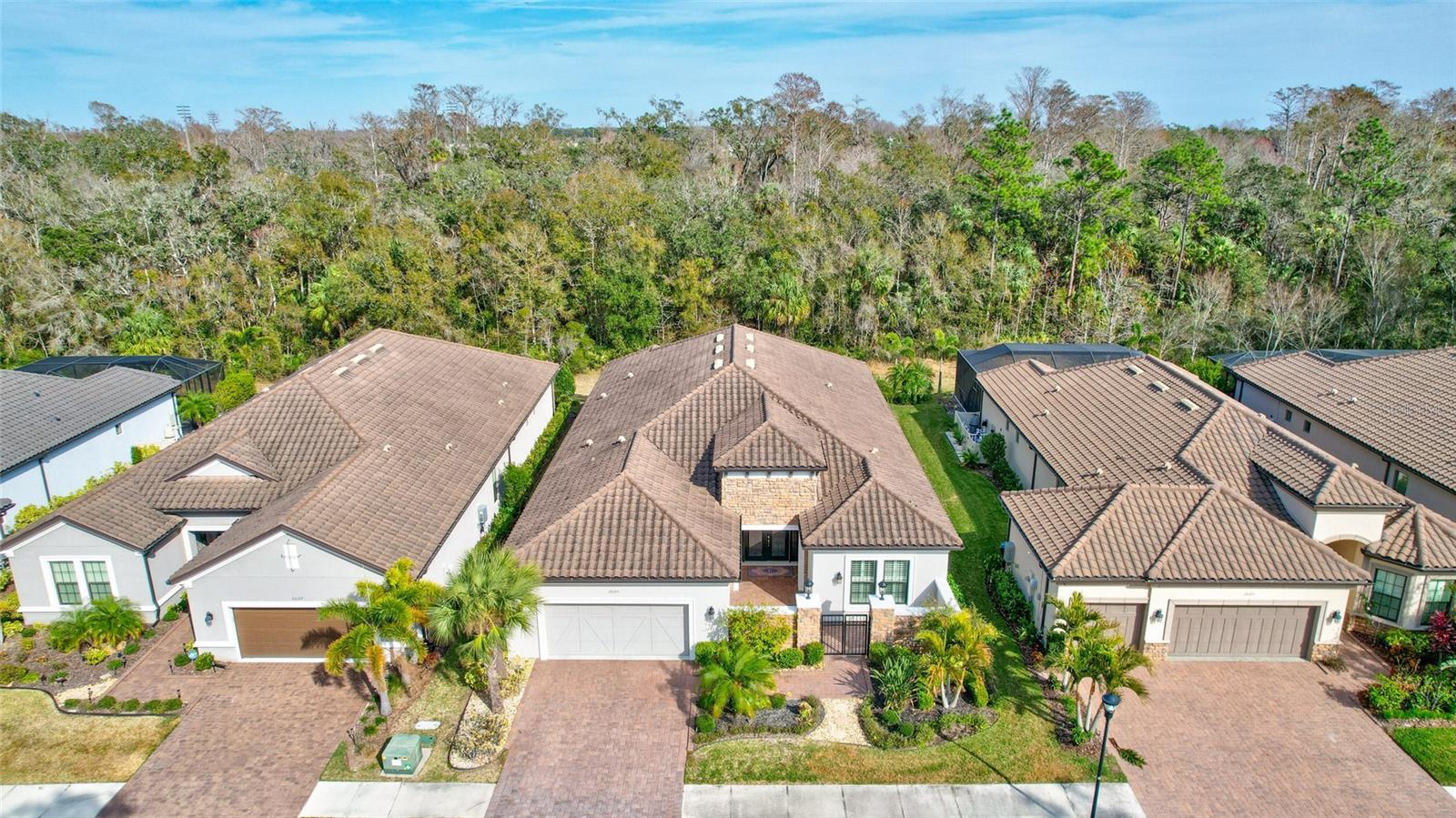 20105 UMBRIA HILL DR, TAMPA, FL, 33647
