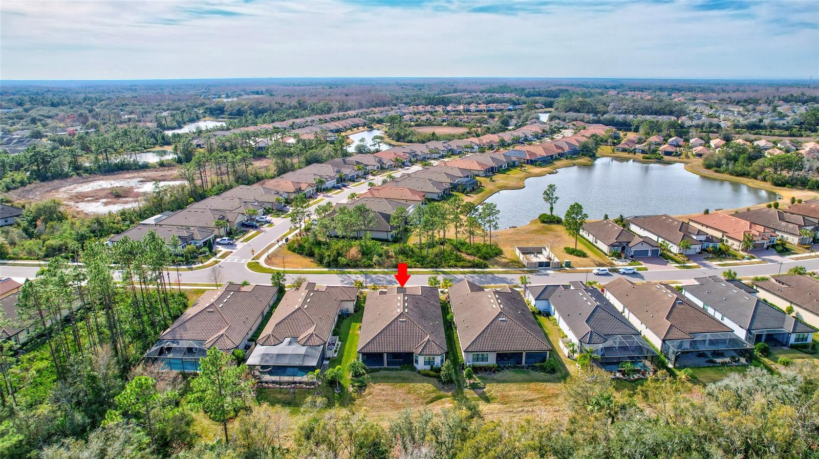 20105 UMBRIA HILL DR, TAMPA, FL, 33647