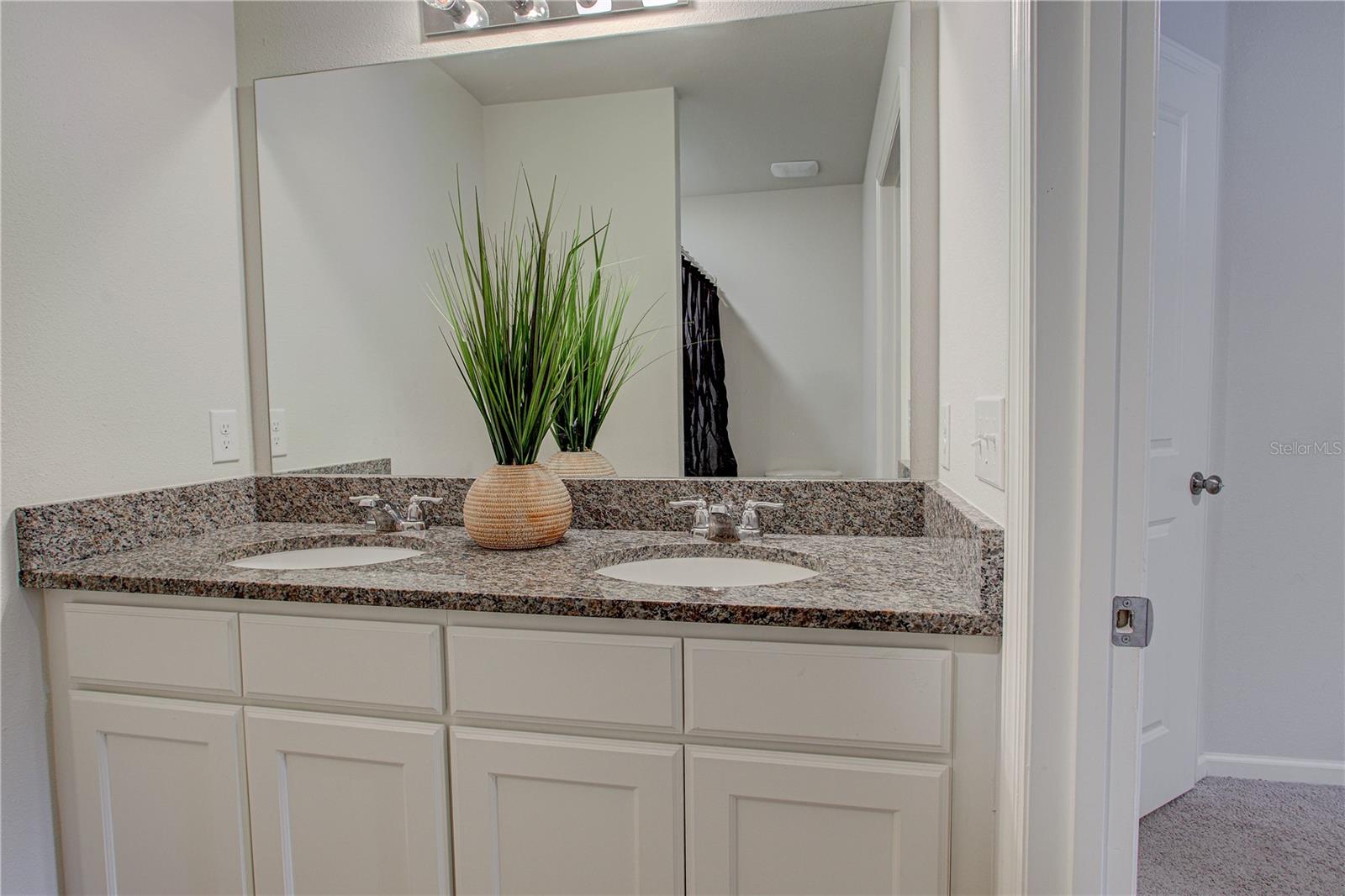 20041 NW 249TH ST, HIGH SPRINGS, FL, 32643
