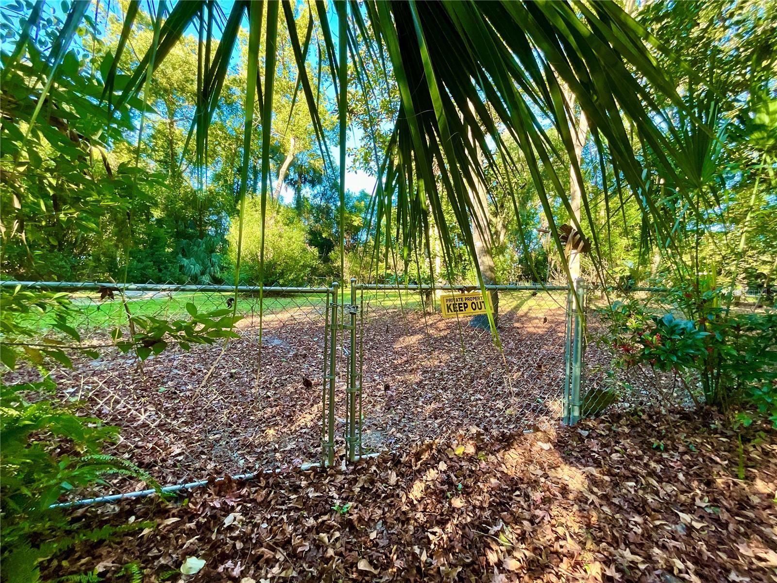 104 SOUTH ST, MELROSE, FL, 32666