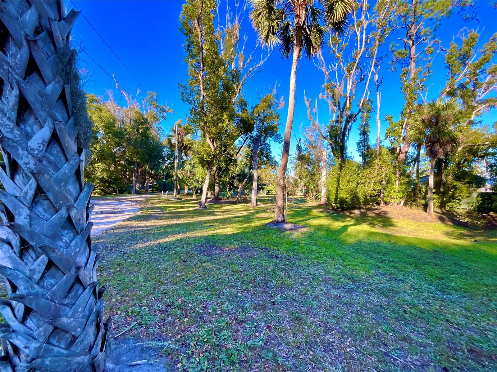 104 SOUTH ST, MELROSE, FL, 32666