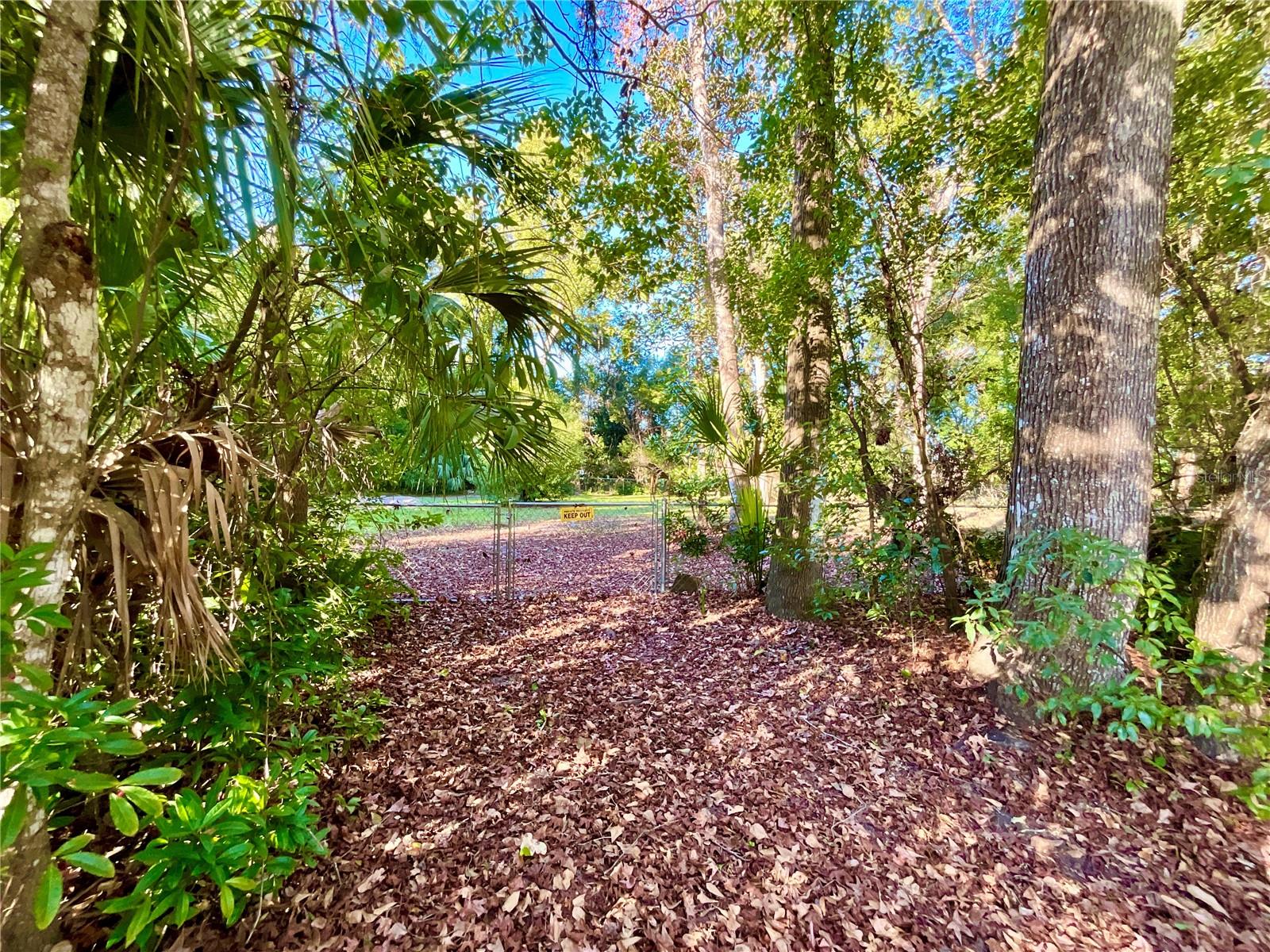 104 SOUTH ST, MELROSE, FL, 32666