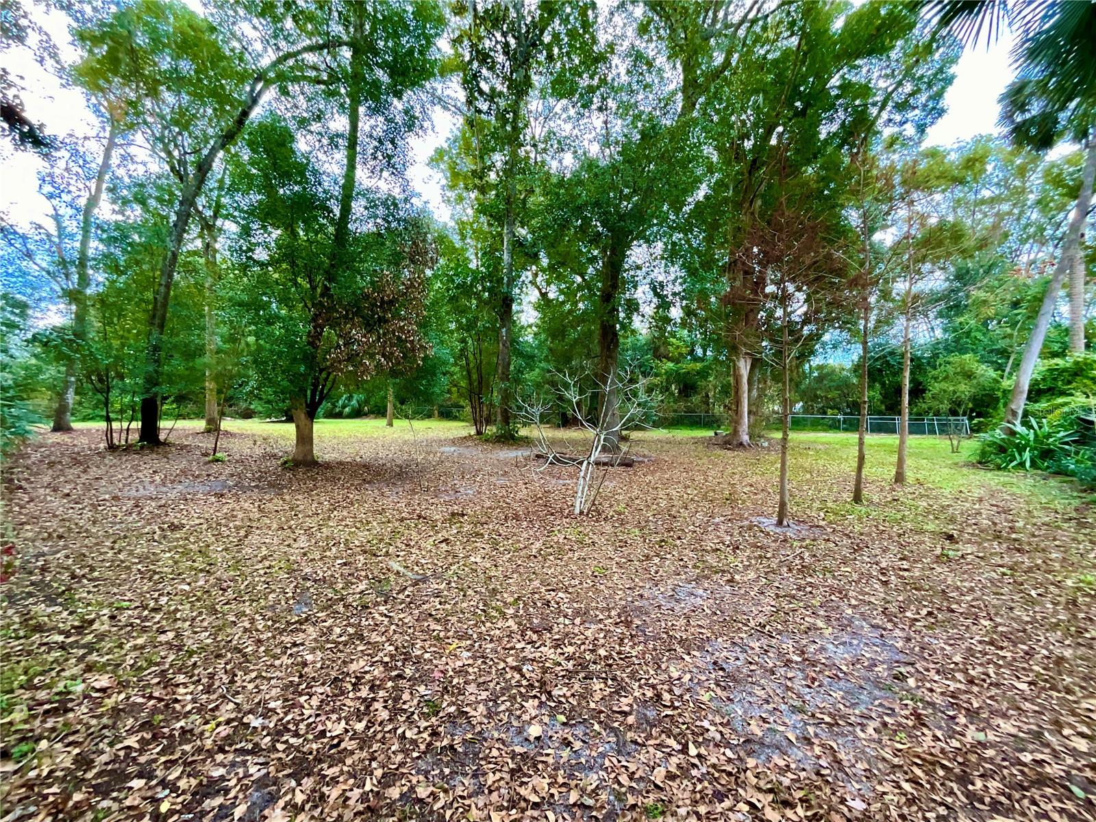 104 SOUTH ST, MELROSE, FL, 32666