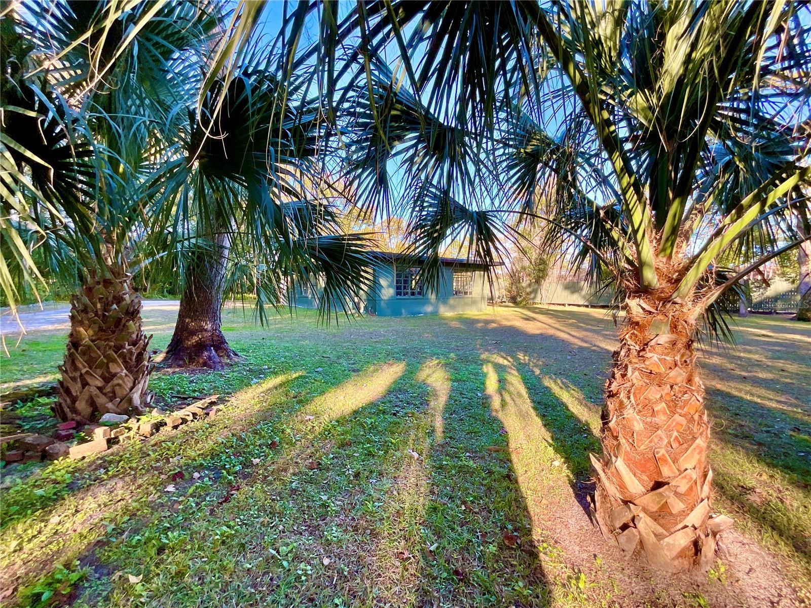 104 SOUTH ST, MELROSE, FL, 32666