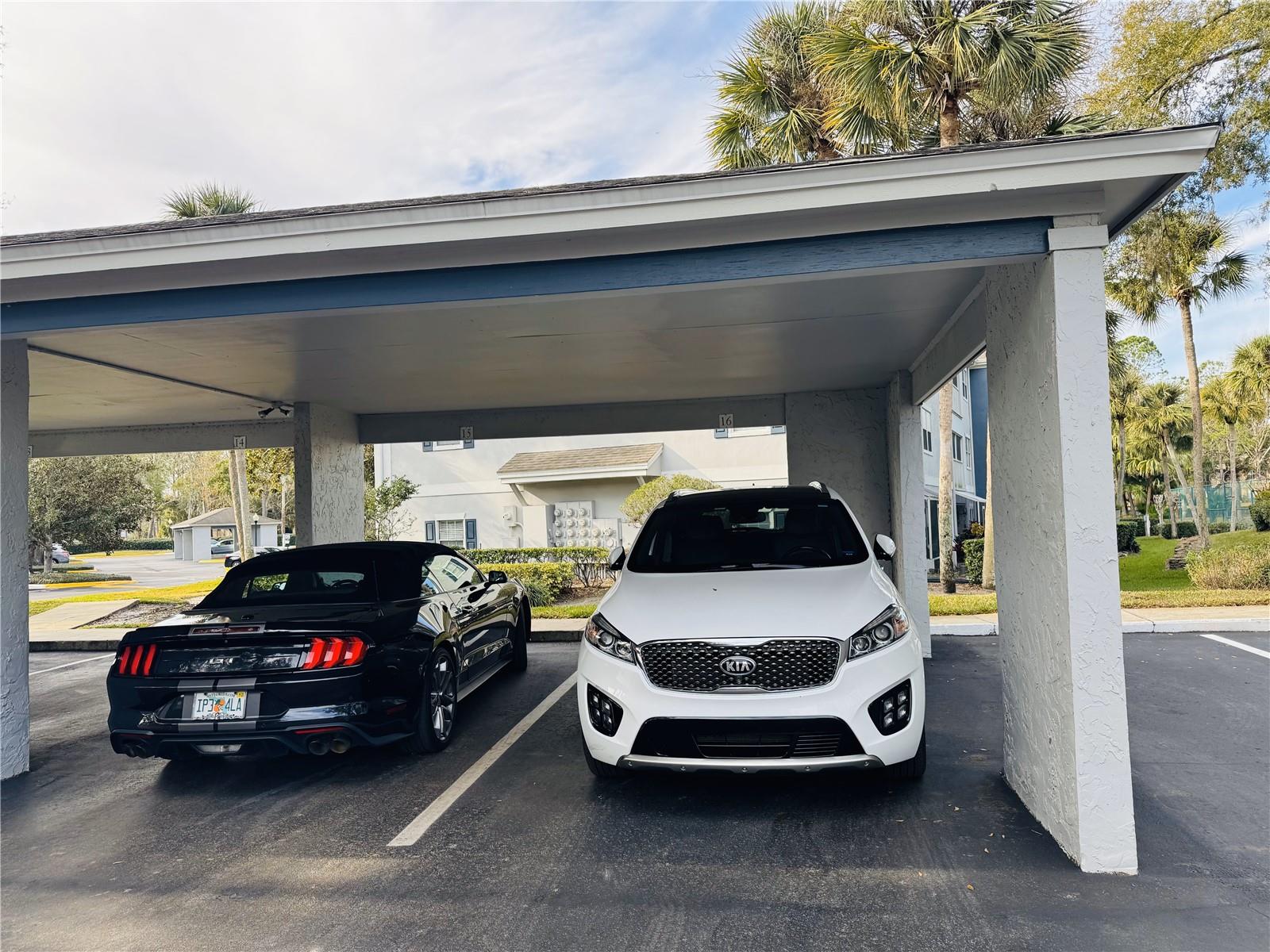 4208 CLUBSIDE DR #4208, LONGWOOD, FL, 32779