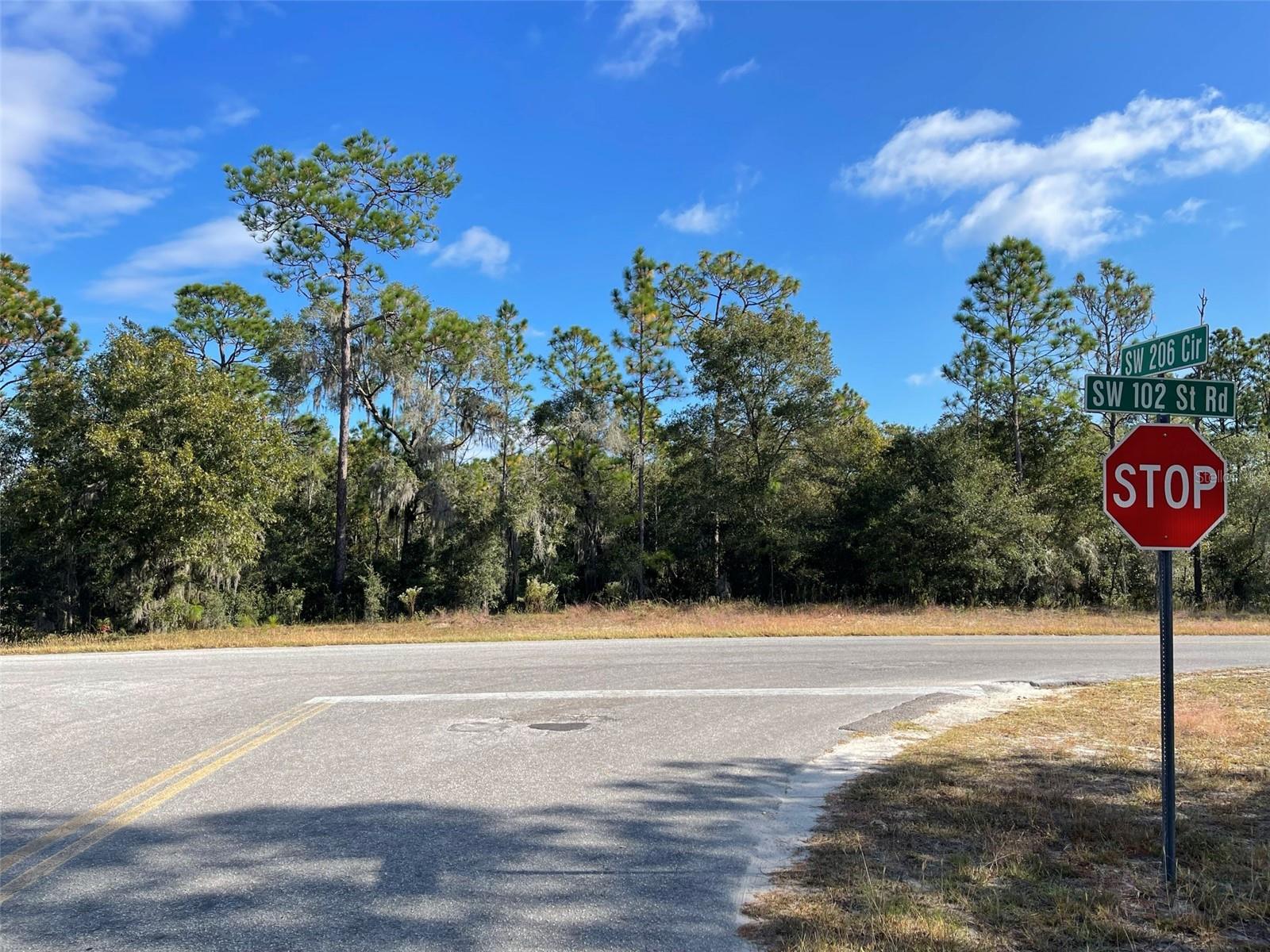 Lot 44 SW 102ND STREET RD, DUNNELLON, FL, 34431