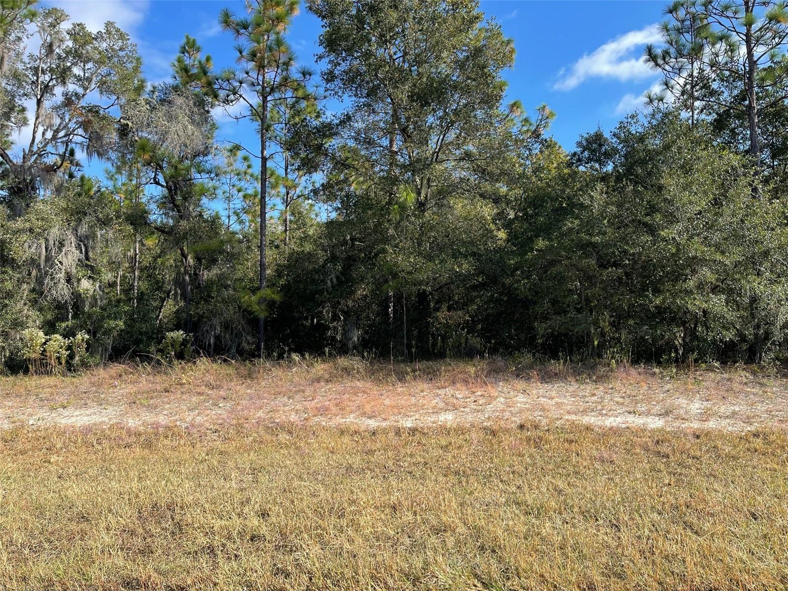 Lot 44 SW 102ND STREET RD, DUNNELLON, FL, 34431