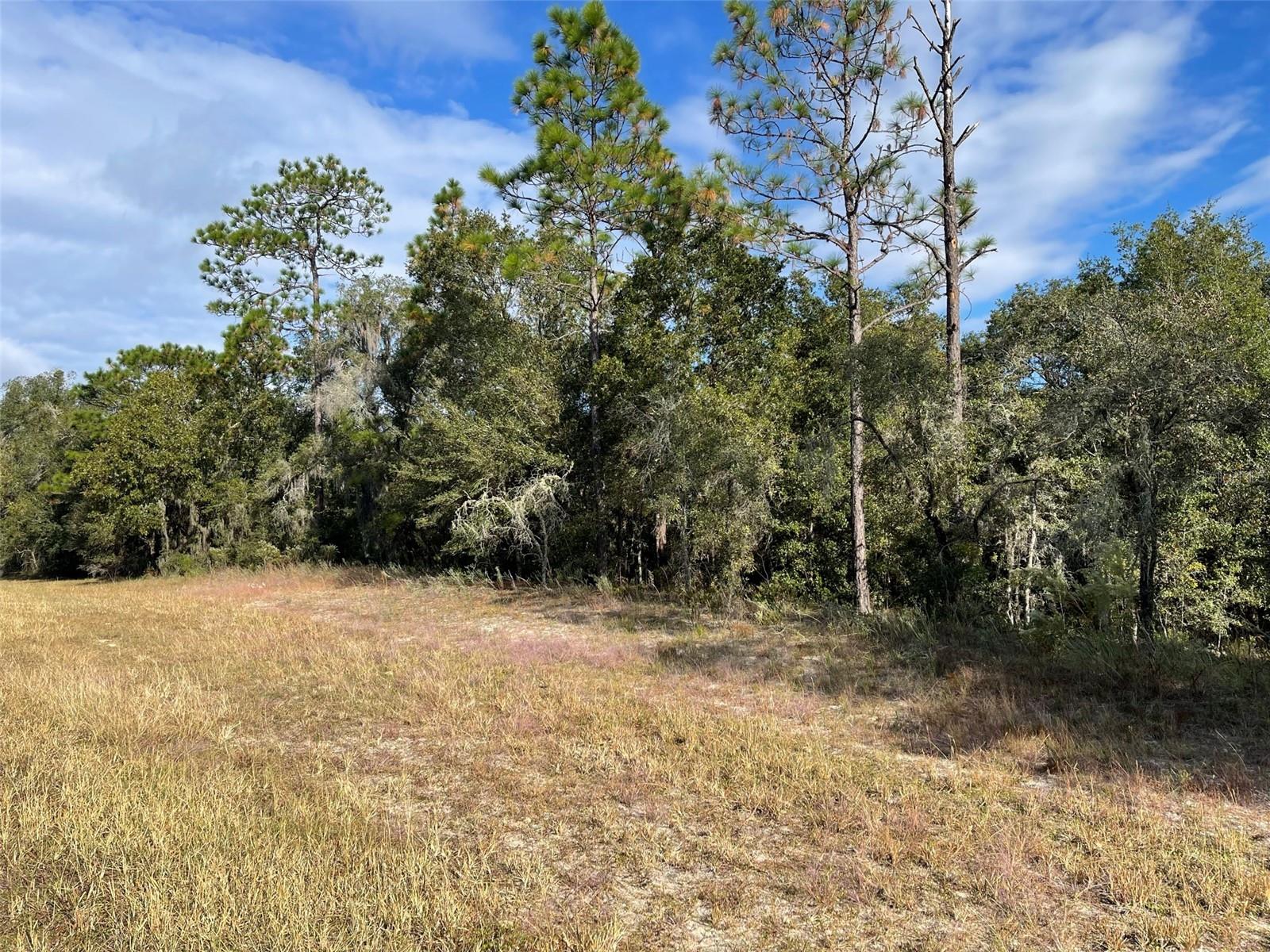 Lot 44 SW 102ND STREET RD, DUNNELLON, FL, 34431