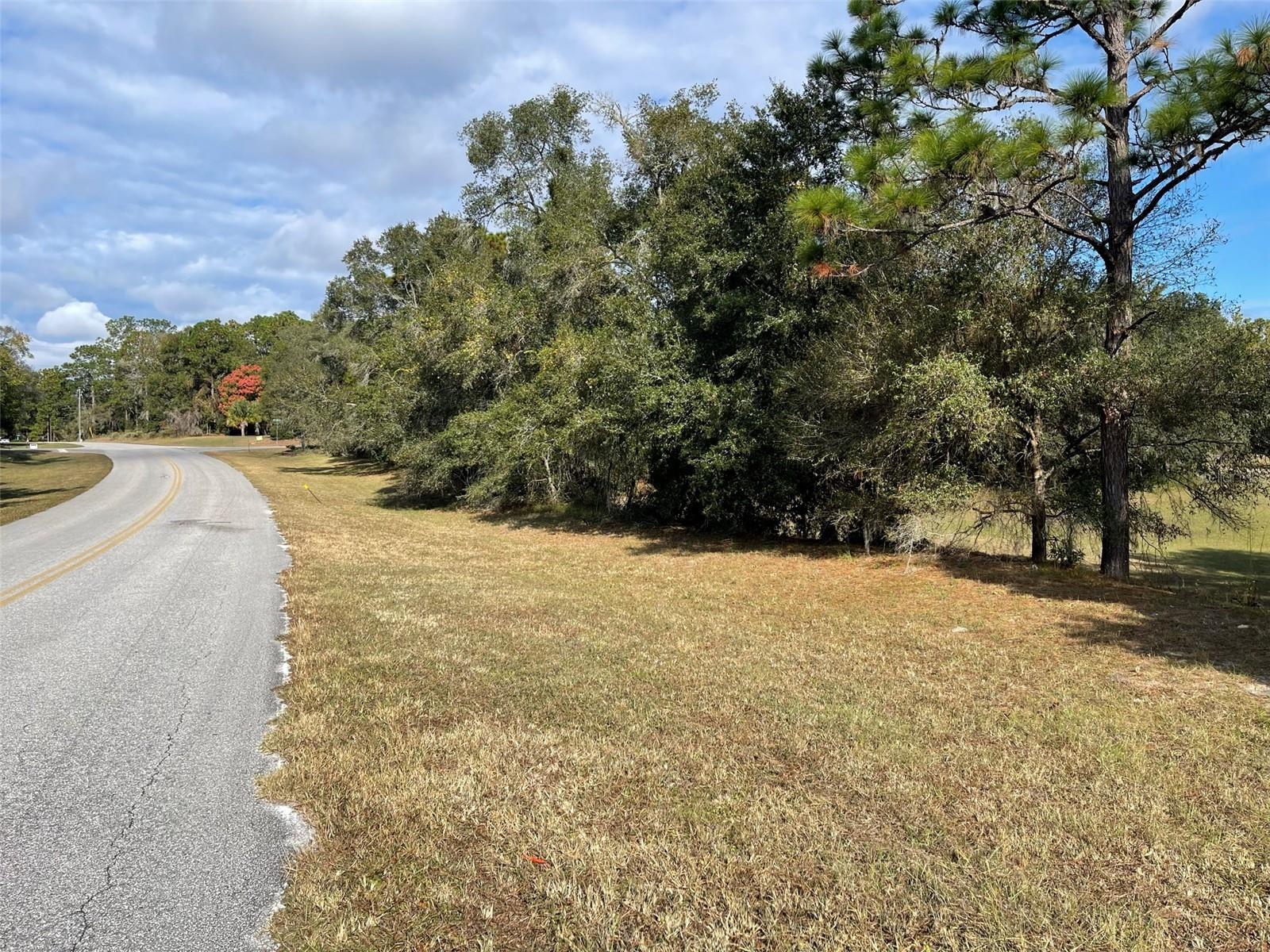 Lot 44 SW 102ND STREET RD, DUNNELLON, FL, 34431