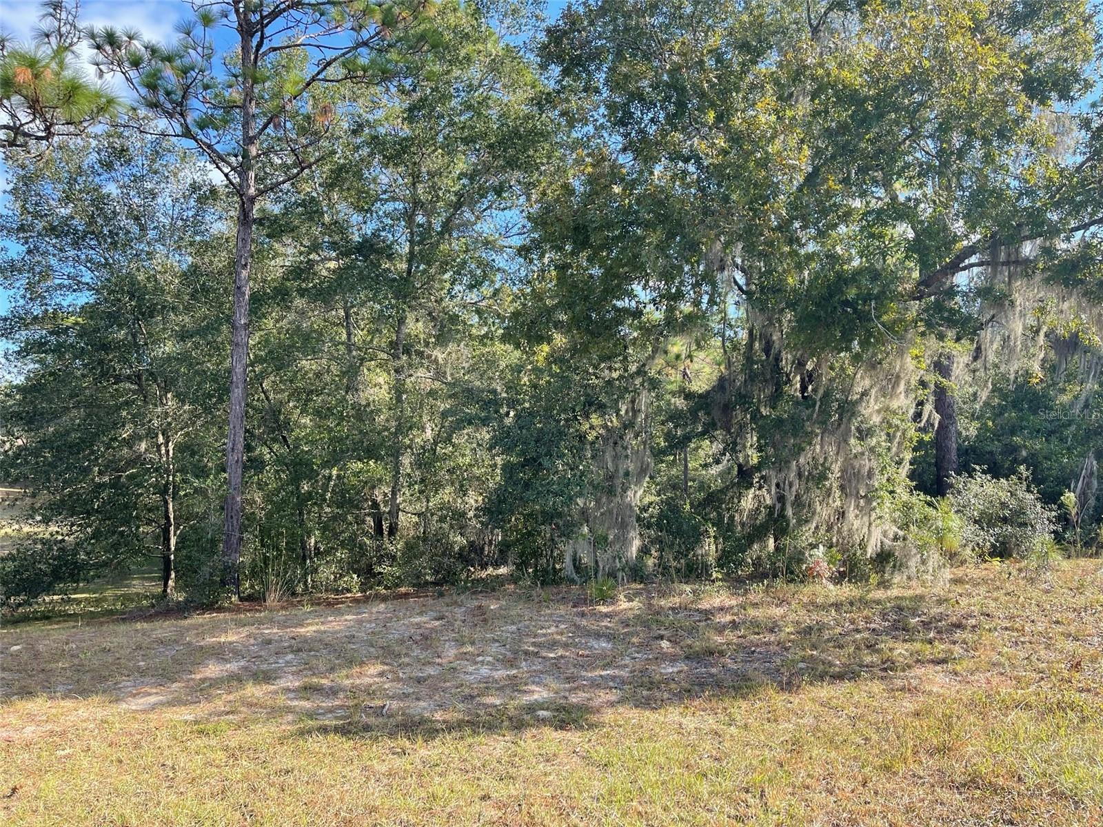 Lot 44 SW 102ND STREET RD, DUNNELLON, FL, 34431