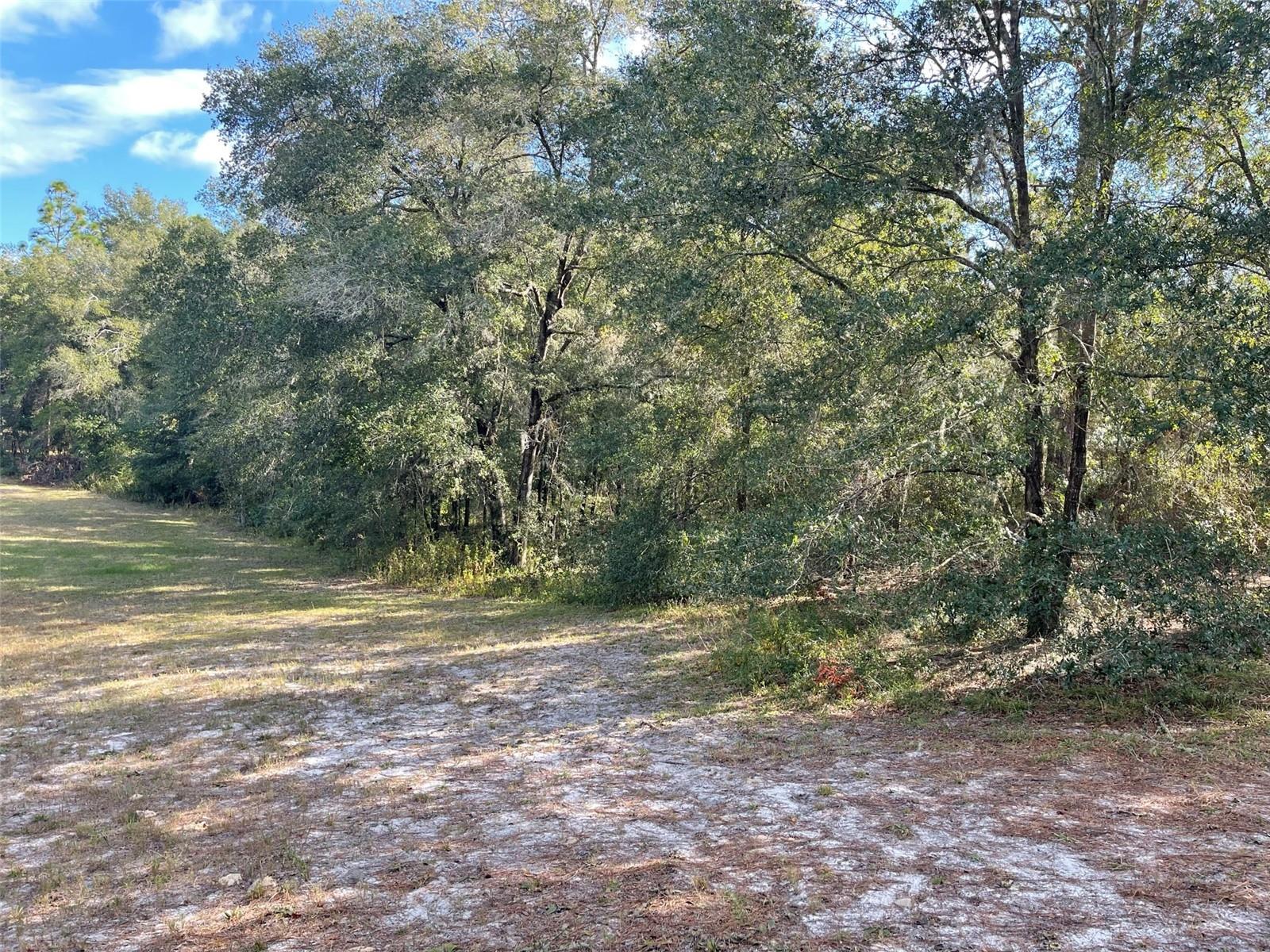 Lot 44 SW 102ND STREET RD, DUNNELLON, FL, 34431