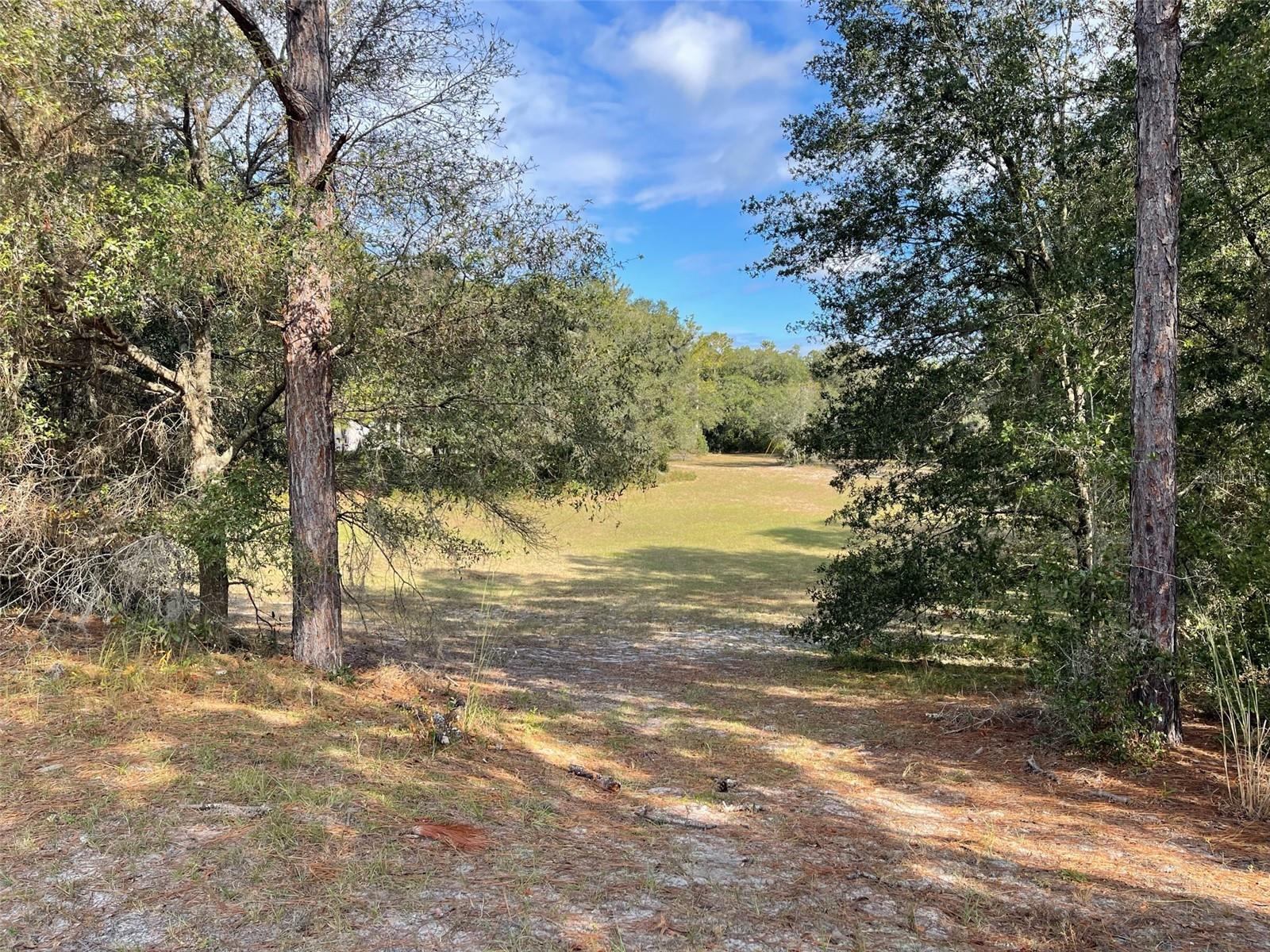 Lot 44 SW 102ND STREET RD, DUNNELLON, FL, 34431