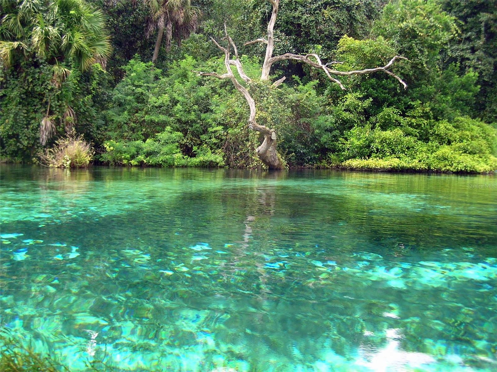 Lot 44 SW 102ND STREET RD, DUNNELLON, FL, 34431