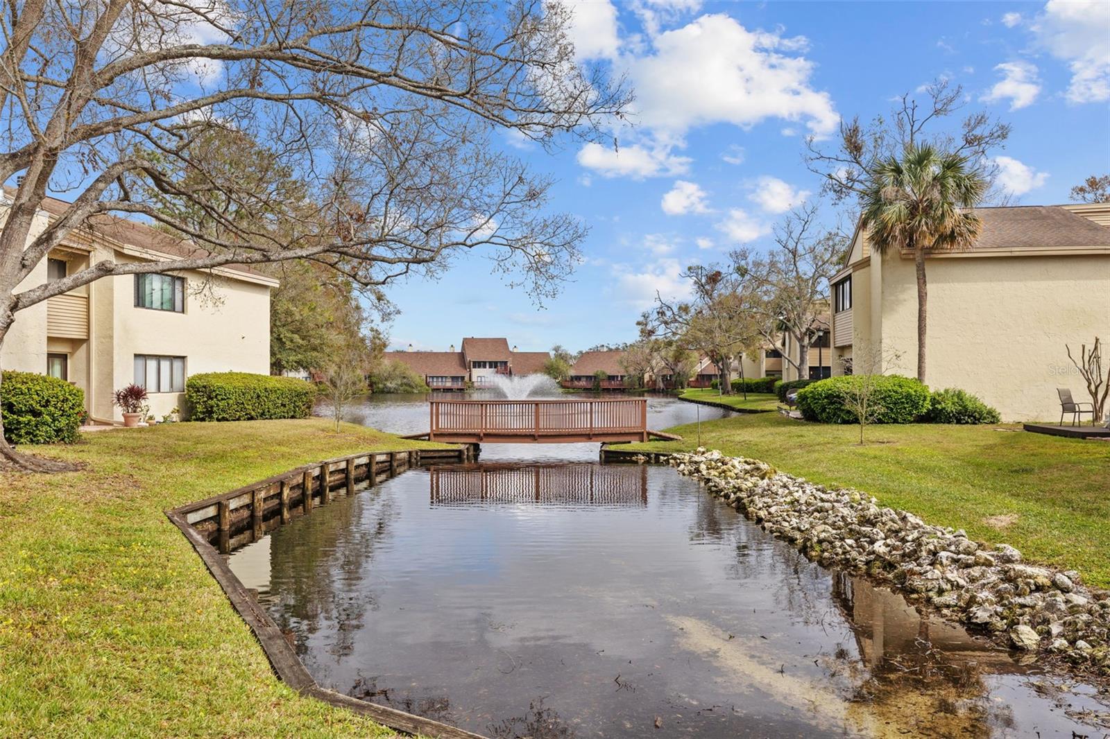 4154 PINELAKE LN #101, TAMPA, FL, 33618