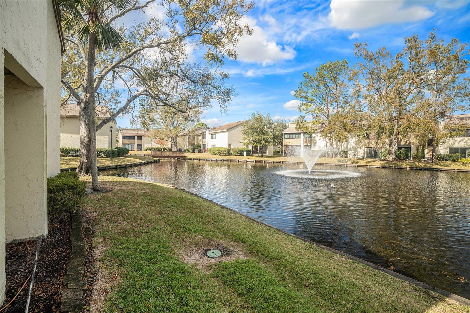 4154 PINELAKE LN #101, TAMPA, FL, 33618