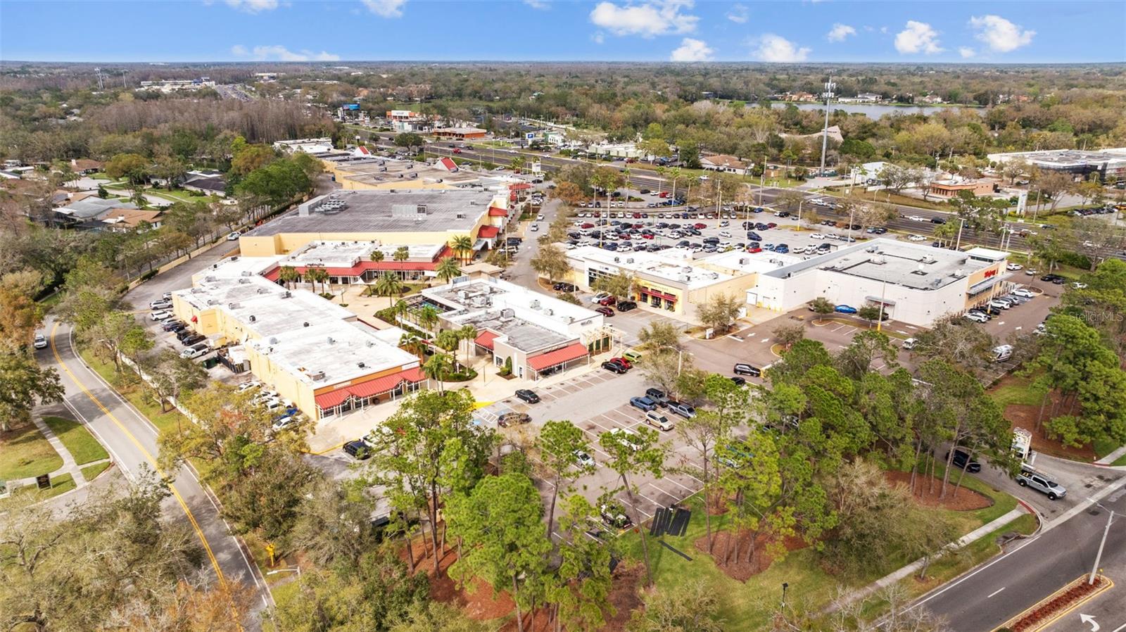 4154 PINELAKE LN #101, TAMPA, FL, 33618