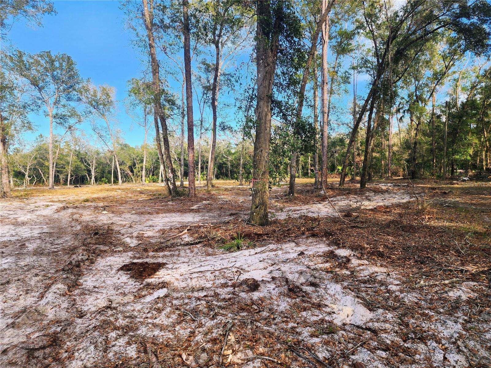 RACHEL LN, EUSTIS, FL, 32736
