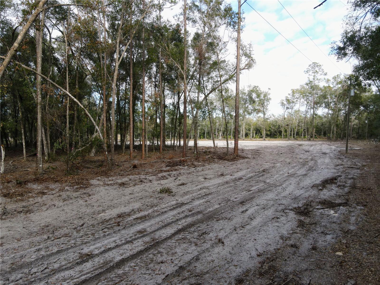 RACHEL LN, EUSTIS, FL, 32736