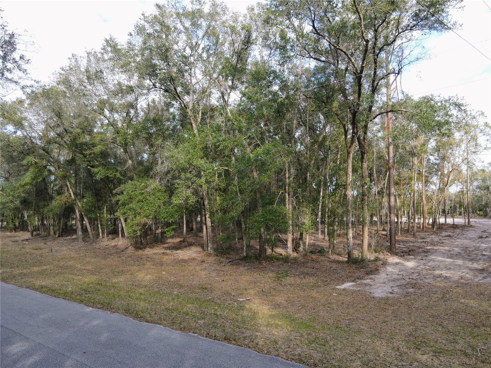 RACHEL LN, EUSTIS, FL, 32736