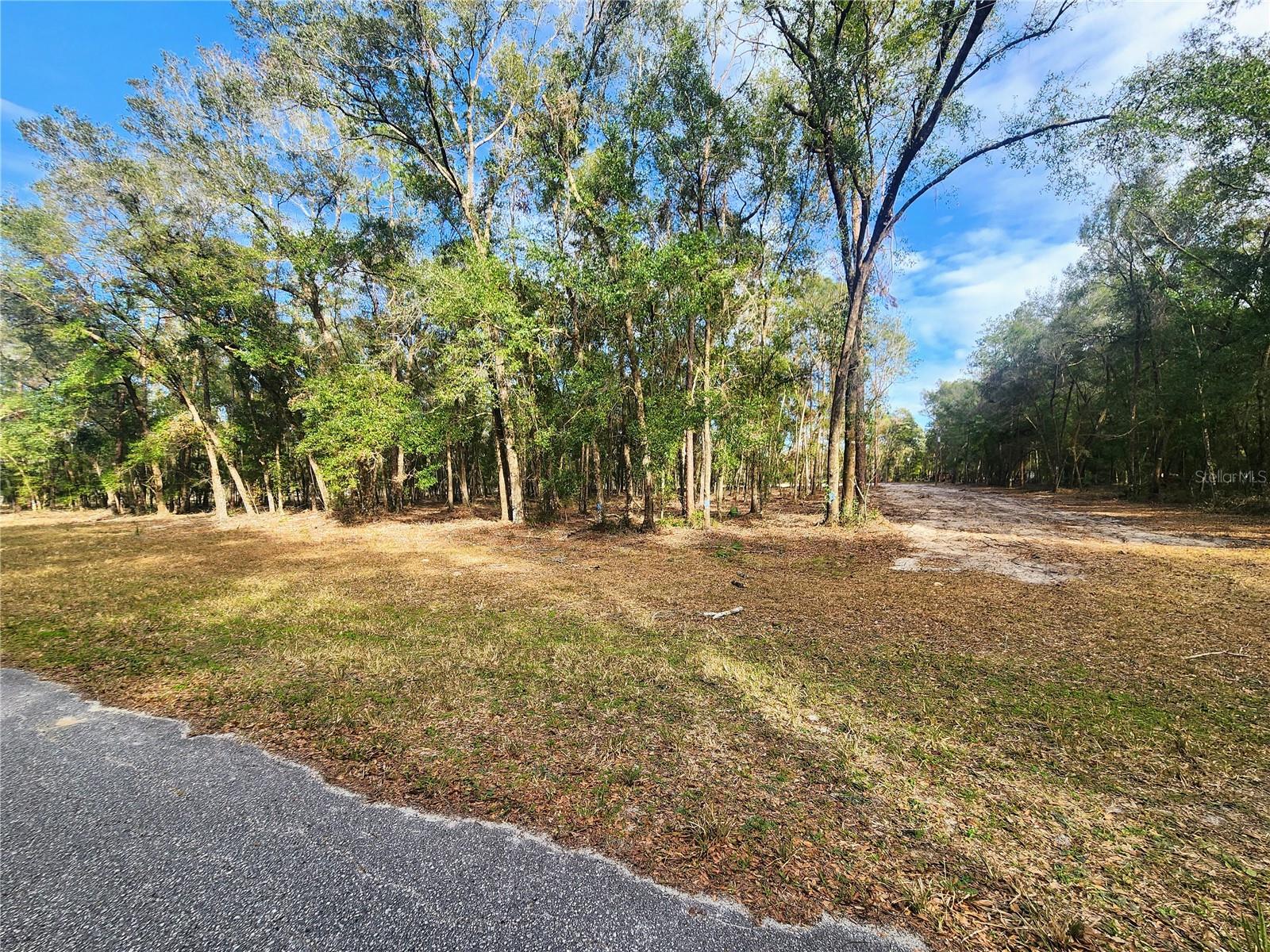 RACHEL LN, EUSTIS, FL, 32736