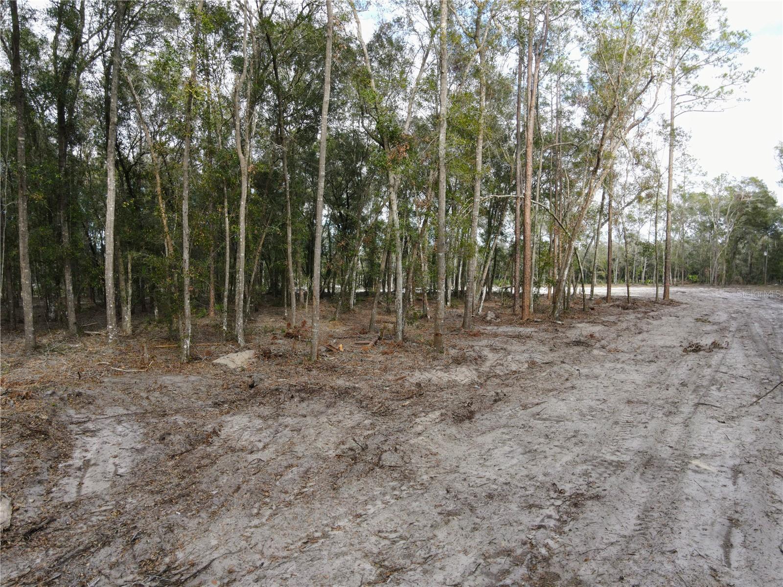 RACHEL LN, EUSTIS, FL, 32736