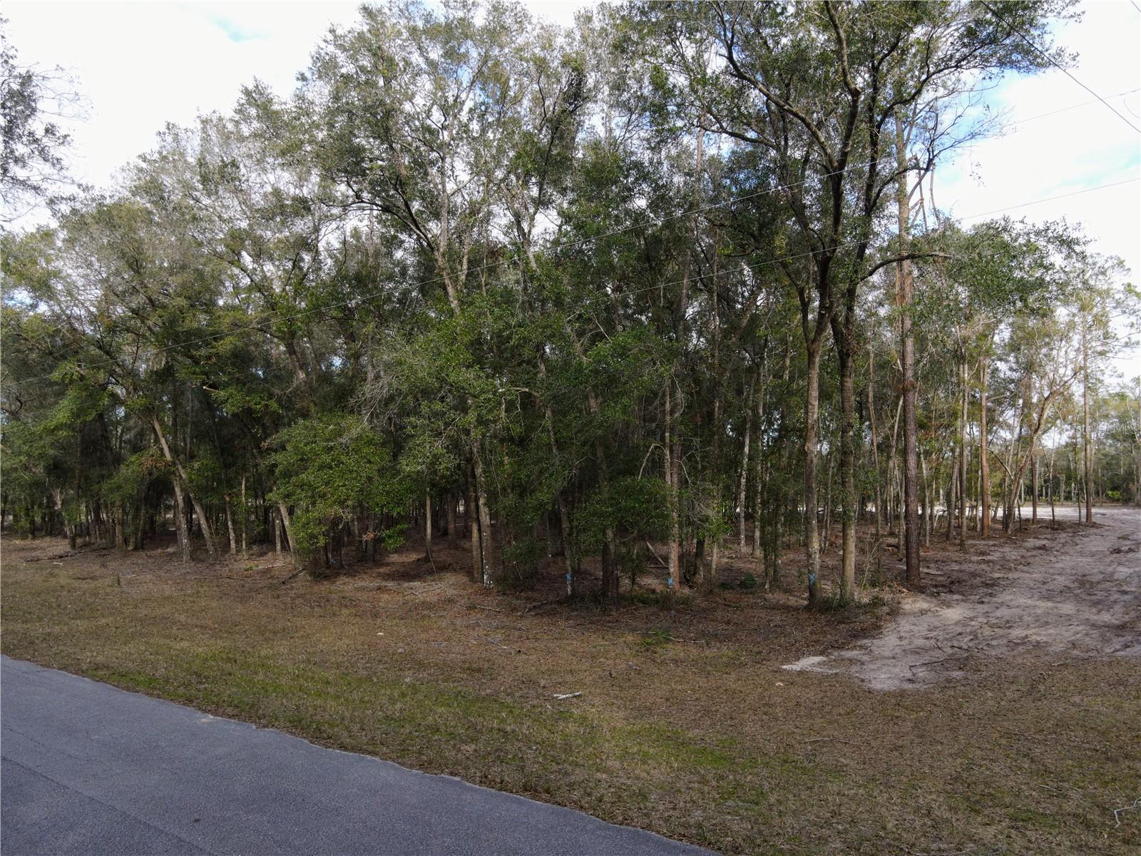 RACHEL LN, EUSTIS, FL, 32736