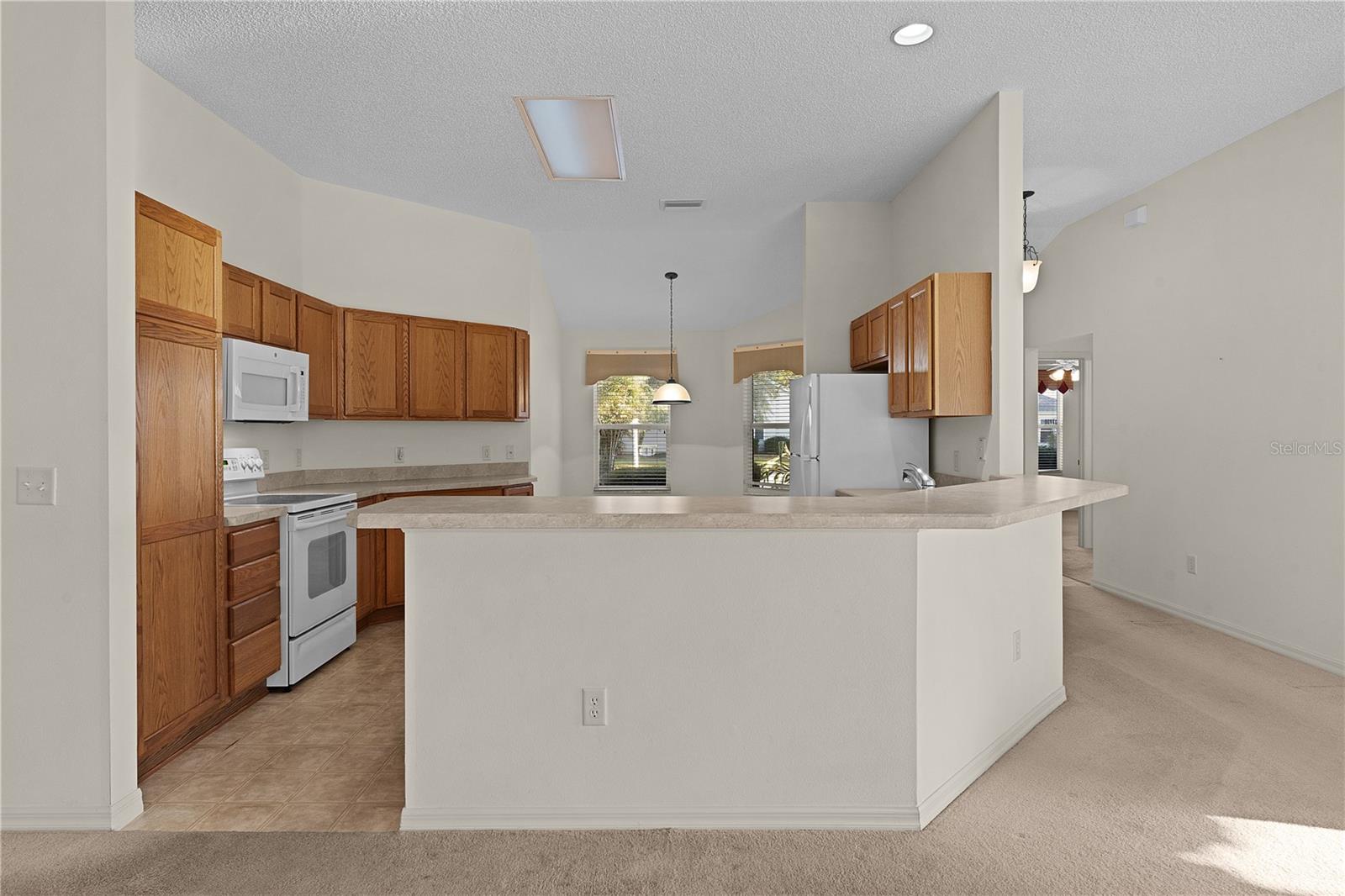 17030 SE 79TH CLEARVIEW AVE, THE VILLAGES, FL, 32162