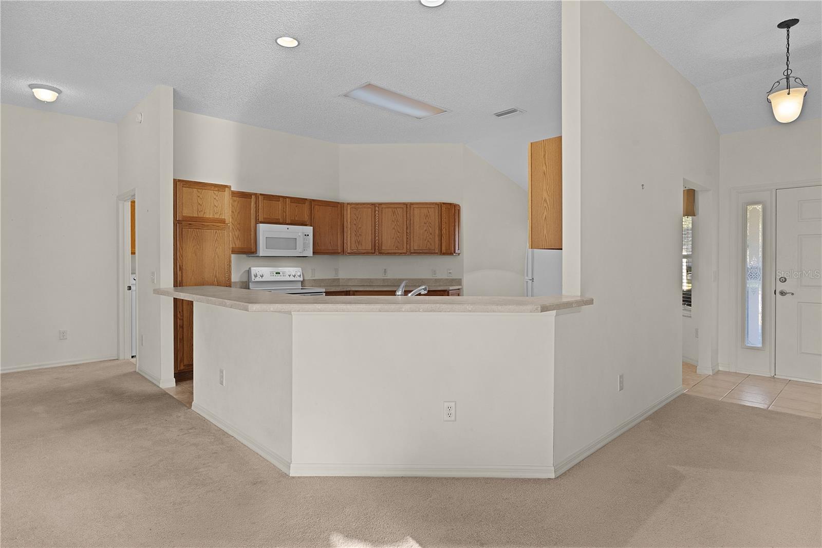 17030 SE 79TH CLEARVIEW AVE, THE VILLAGES, FL, 32162