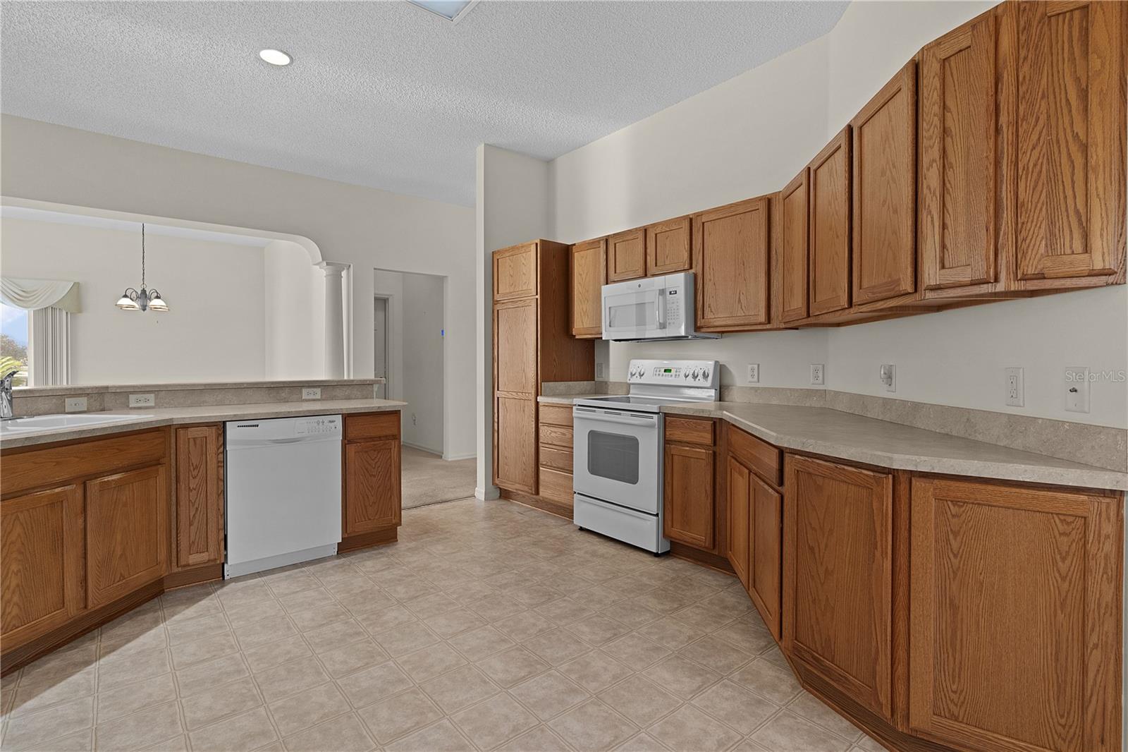 17030 SE 79TH CLEARVIEW AVE, THE VILLAGES, FL, 32162