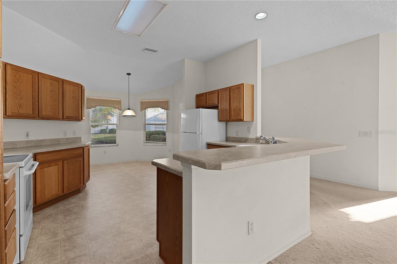 17030 SE 79TH CLEARVIEW AVE, THE VILLAGES, FL, 32162