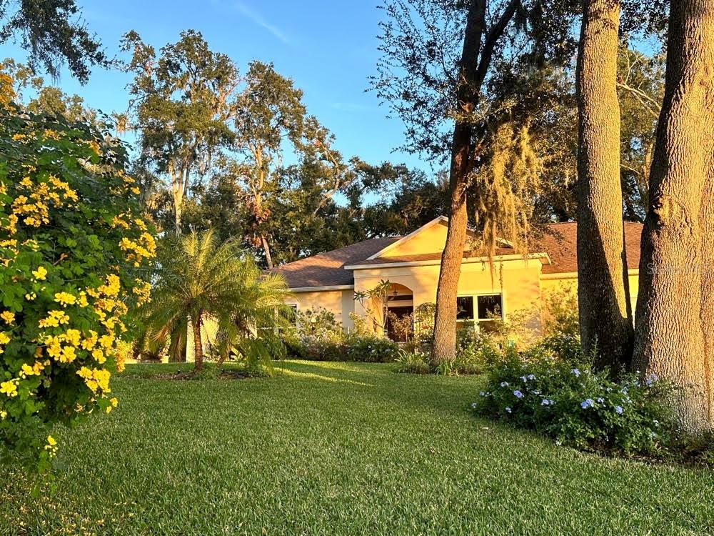 214 FOREST PARK LN, LADY LAKE, FL, 32159