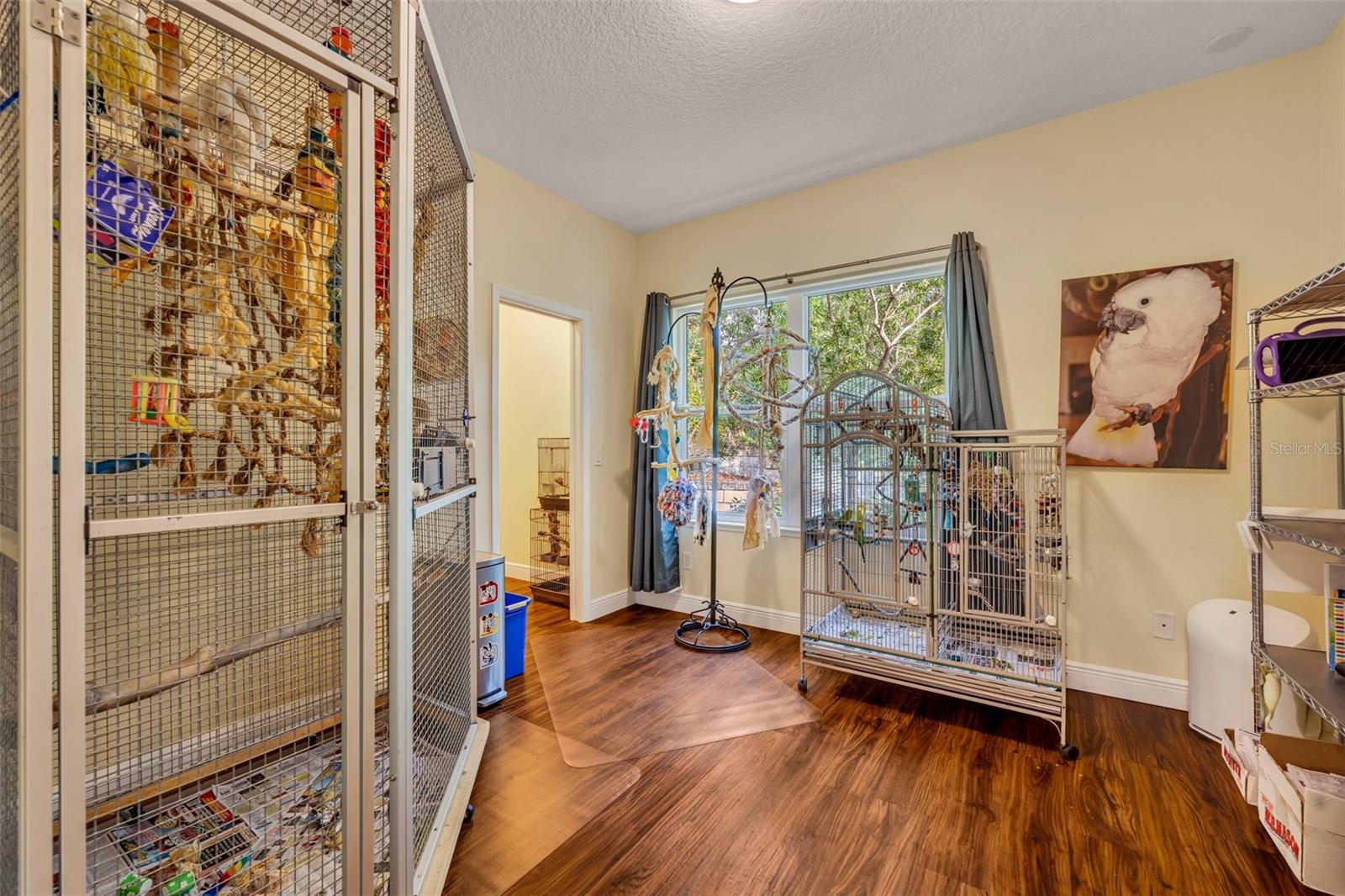 214 FOREST PARK LN, LADY LAKE, FL, 32159