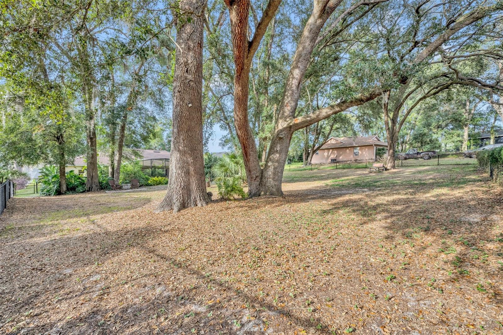 214 FOREST PARK LN, LADY LAKE, FL, 32159