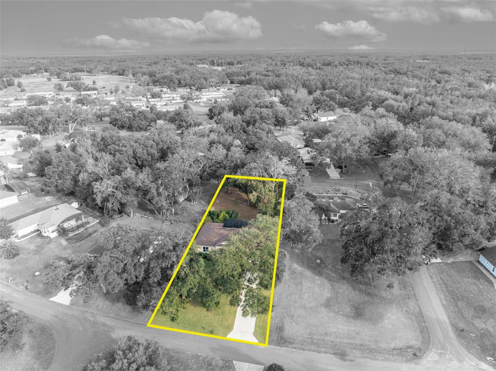 214 FOREST PARK LN, LADY LAKE, FL, 32159