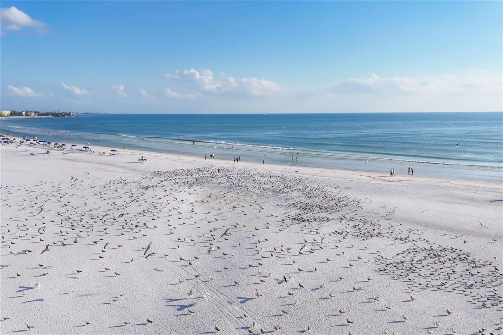 5830 MIDNIGHT PASS RD #502, SARASOTA, FL, 34242