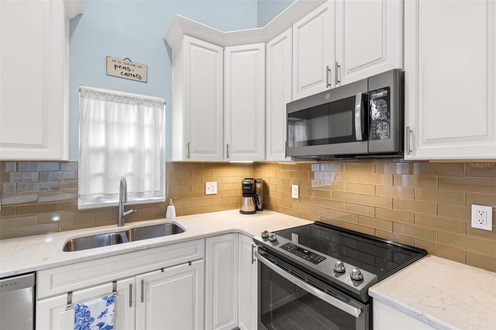3838 MUIRFIELD CT, PALM HARBOR, FL, 34685