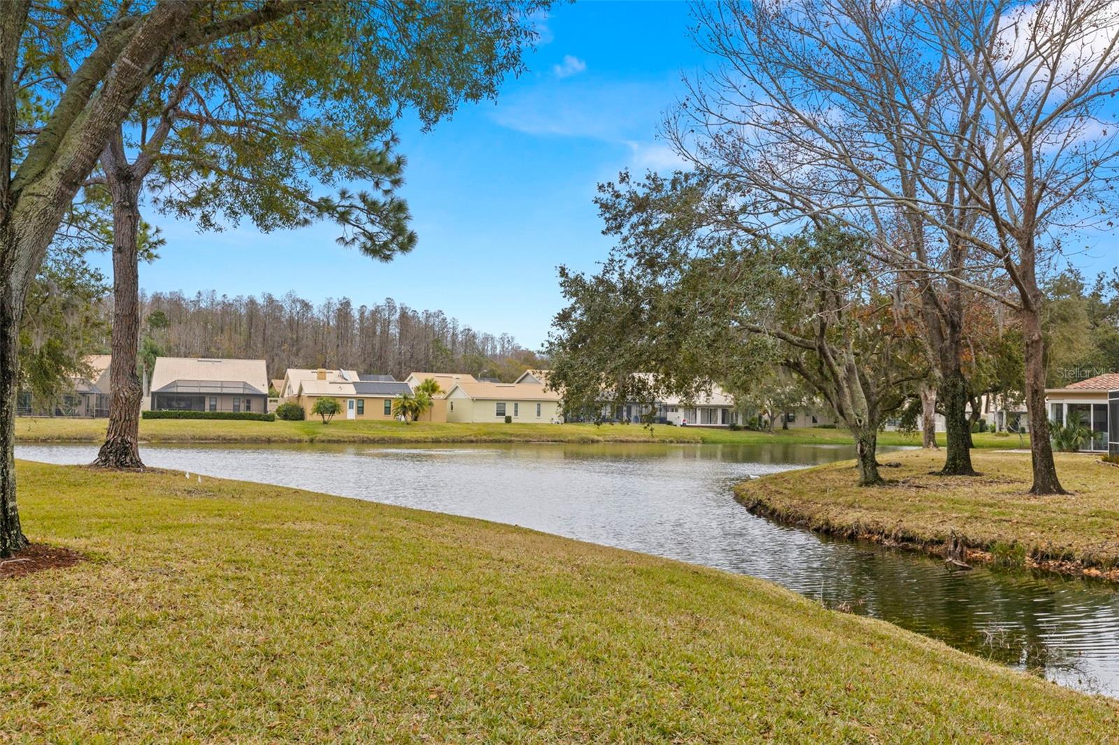 3838 MUIRFIELD CT, PALM HARBOR, FL, 34685