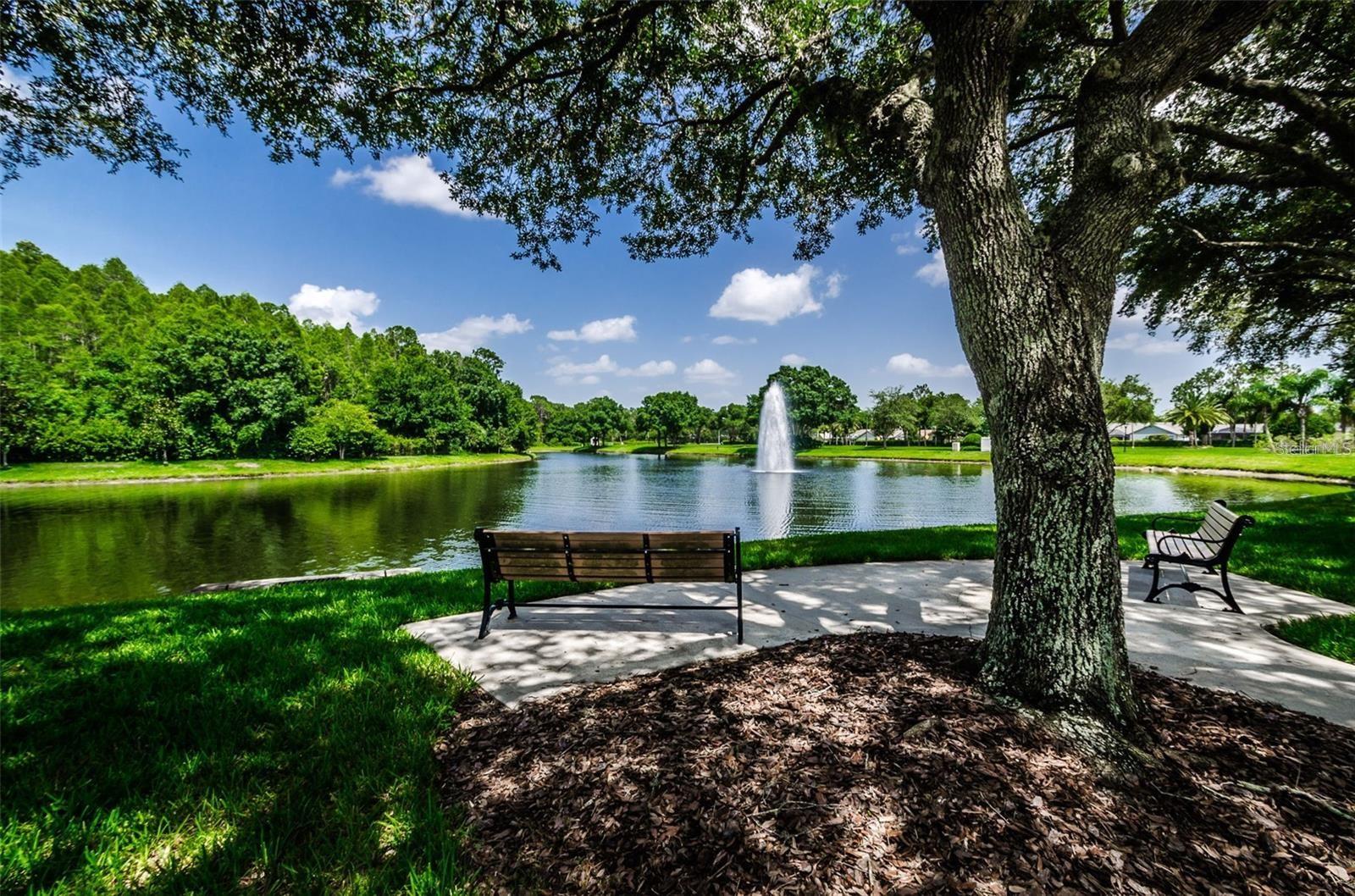 3838 MUIRFIELD CT, PALM HARBOR, FL, 34685