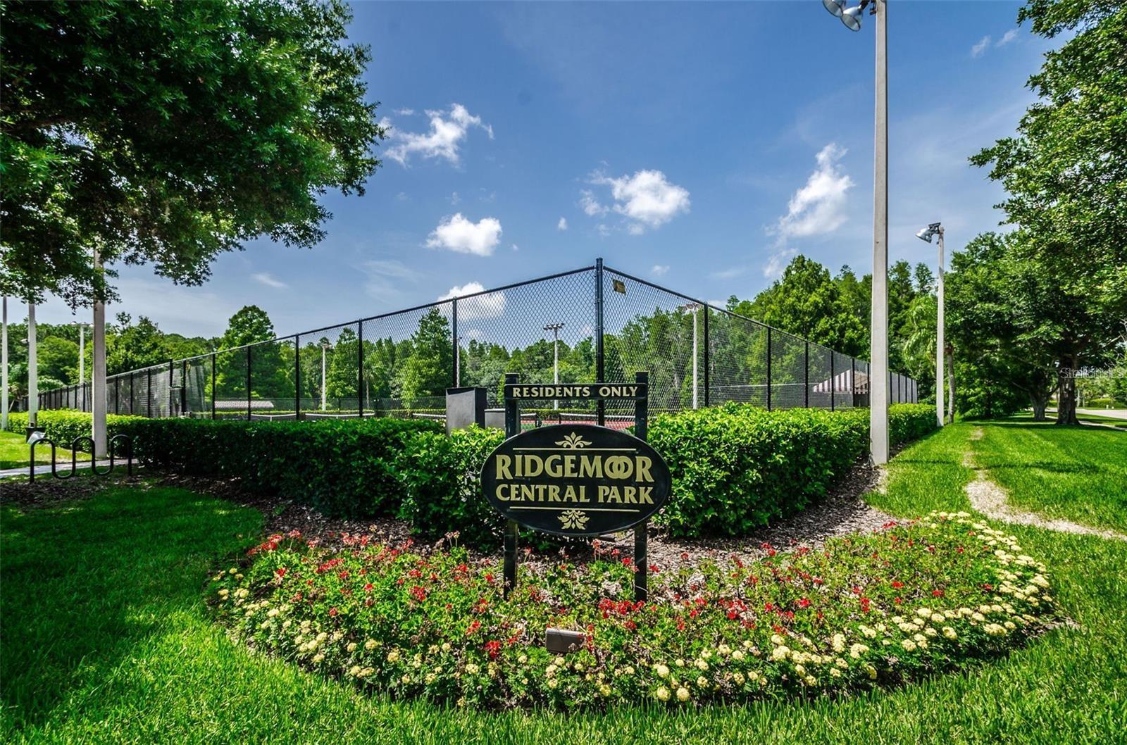3838 MUIRFIELD CT, PALM HARBOR, FL, 34685