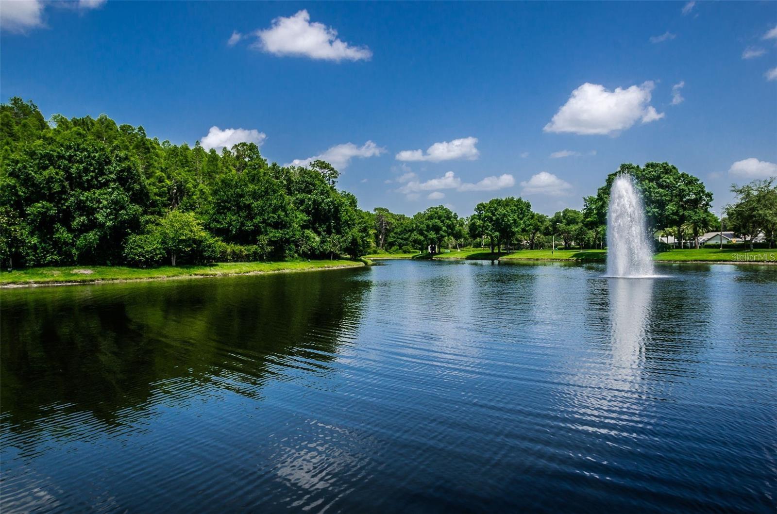 3838 MUIRFIELD CT, PALM HARBOR, FL, 34685