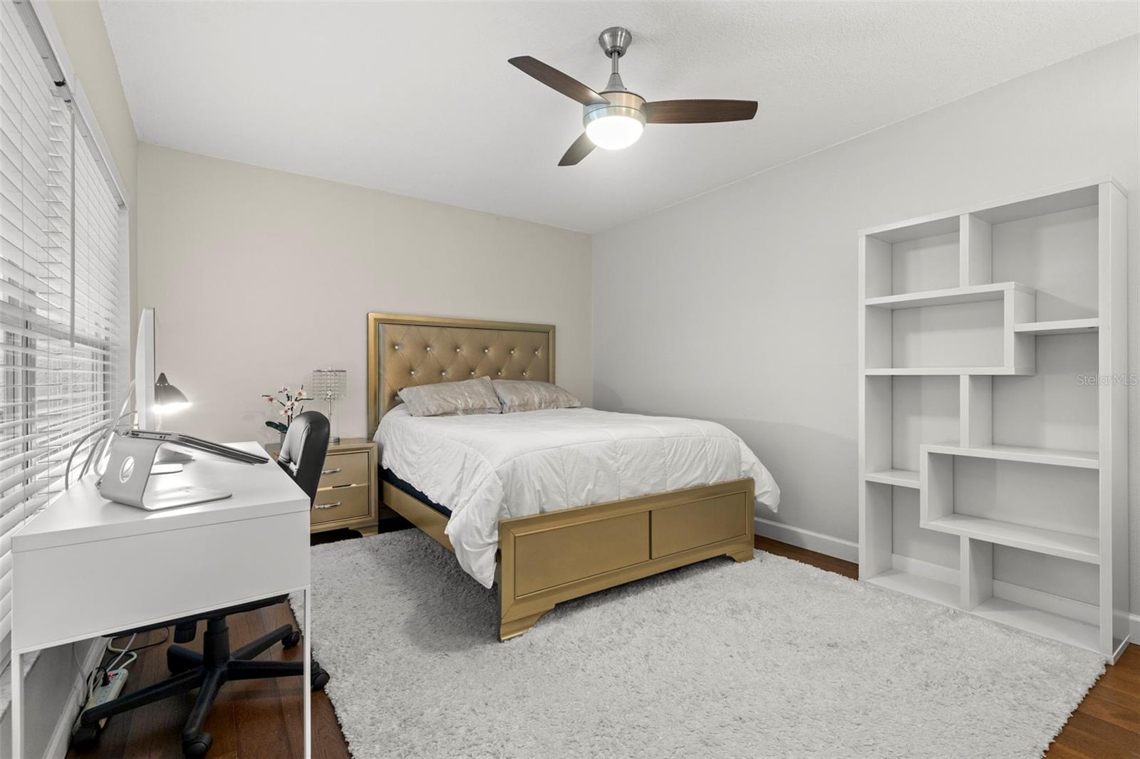 3838 MUIRFIELD CT, PALM HARBOR, FL, 34685
