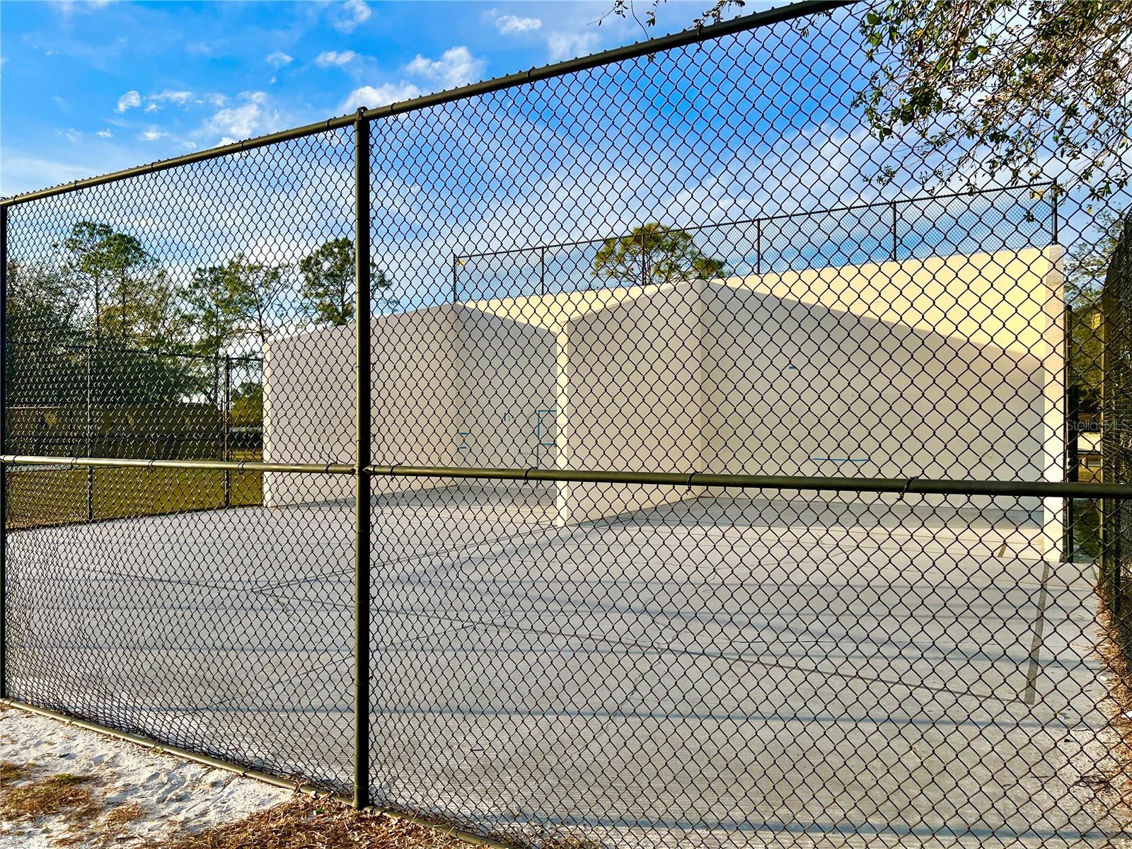 2102 GOLF MANOR BLVD, VALRICO, FL, 33596