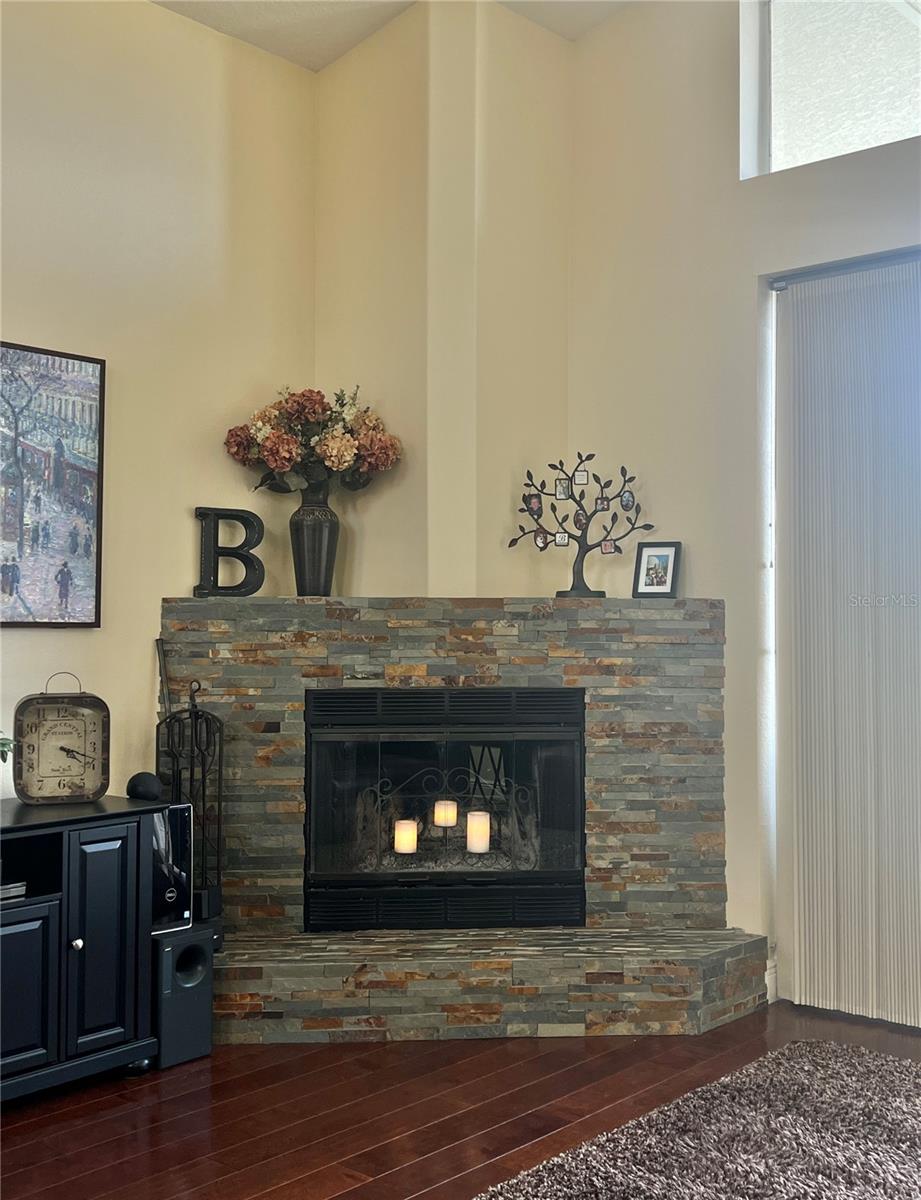 2102 GOLF MANOR BLVD, VALRICO, FL, 33596