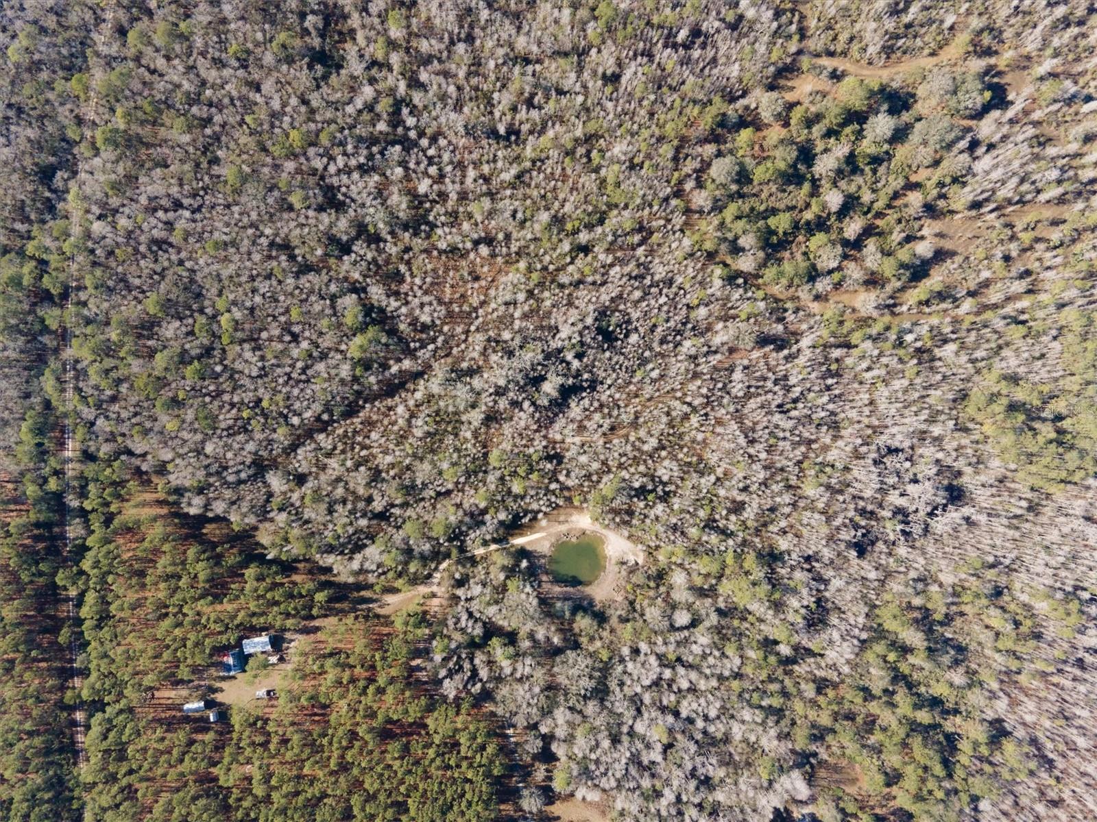 0000 NW CLYATT ROAD, CHIEFLAND, FL, 32626