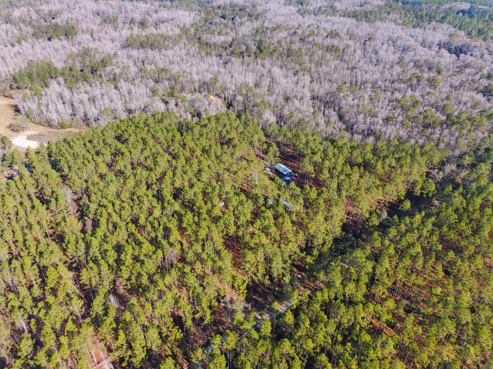 0000 NW CLYATT ROAD, CHIEFLAND, FL, 32626