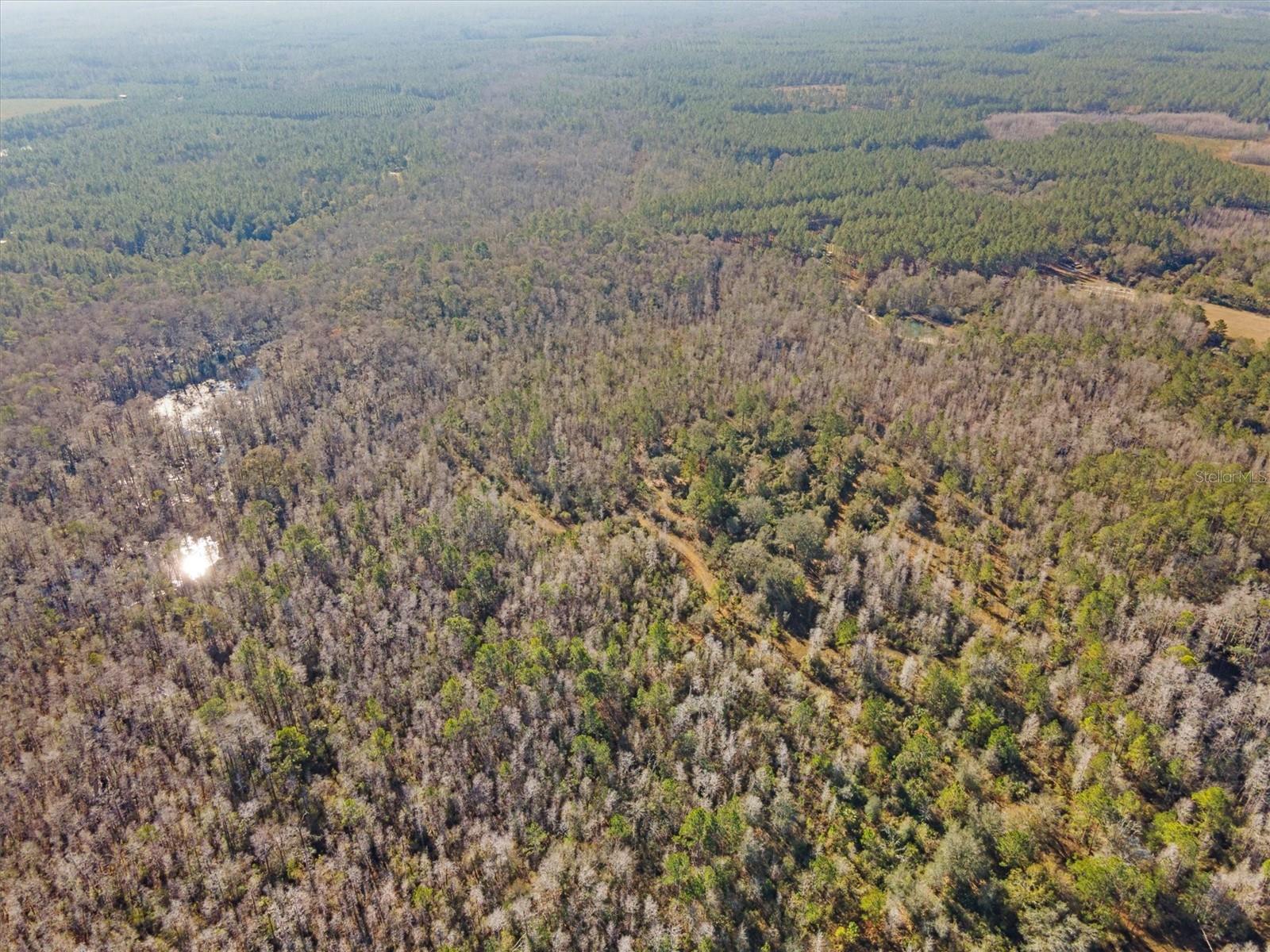 0000 NW CLYATT ROAD, CHIEFLAND, FL, 32626