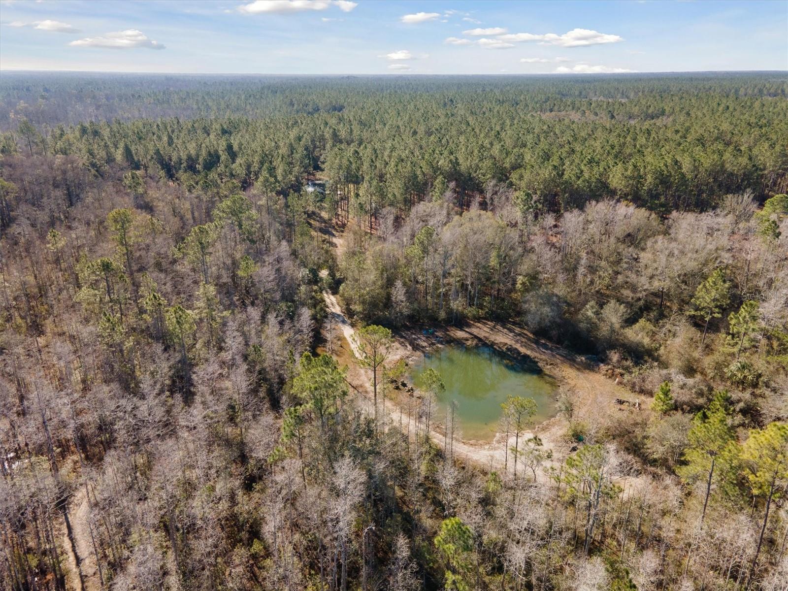 0000 NW CLYATT ROAD, CHIEFLAND, FL, 32626