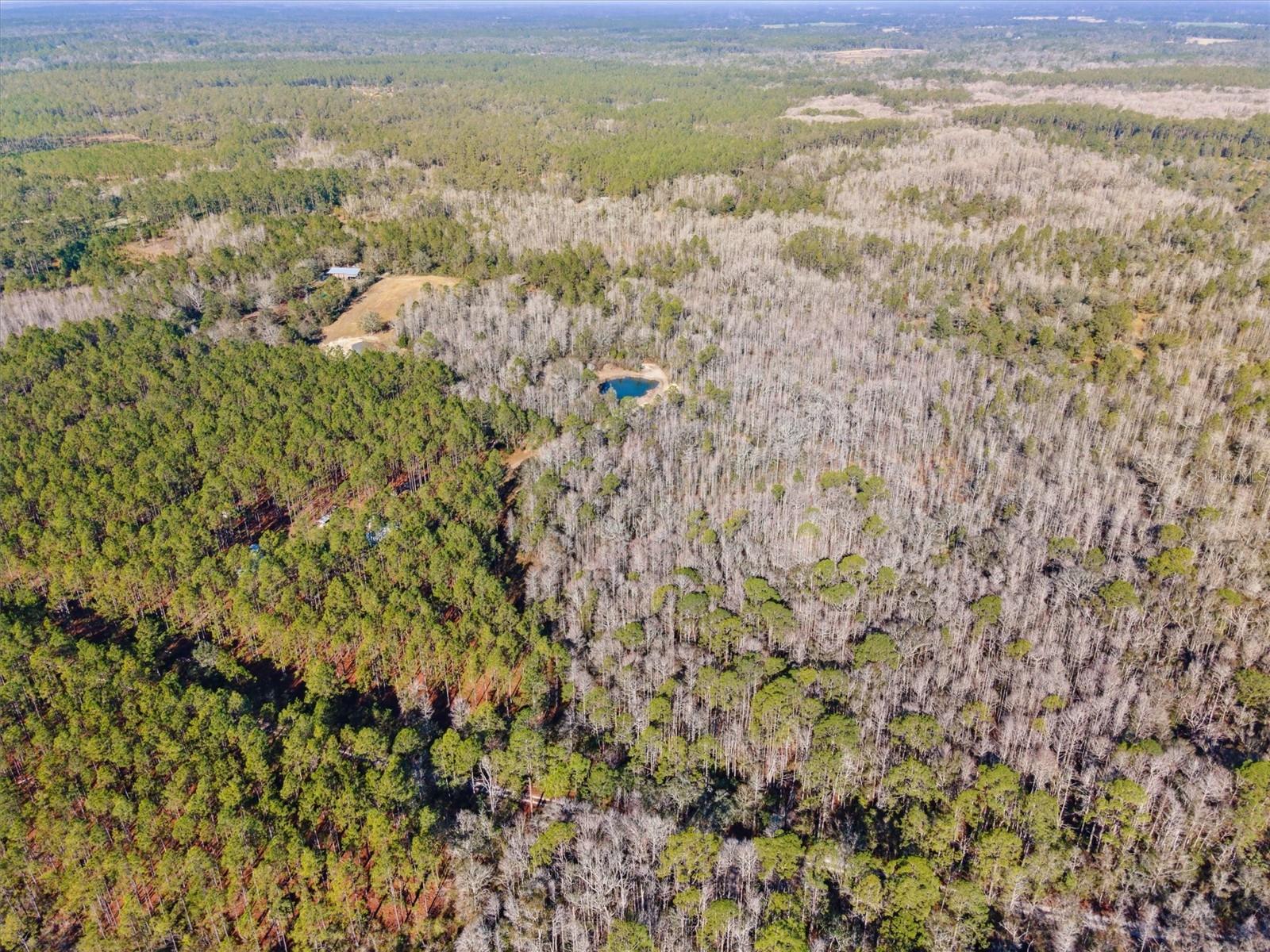 0000 NW CLYATT ROAD, CHIEFLAND, FL, 32626