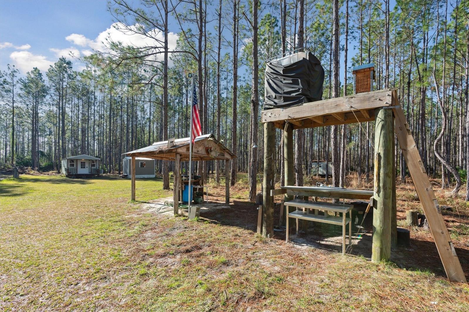 0000 NW CLYATT ROAD, CHIEFLAND, FL, 32626