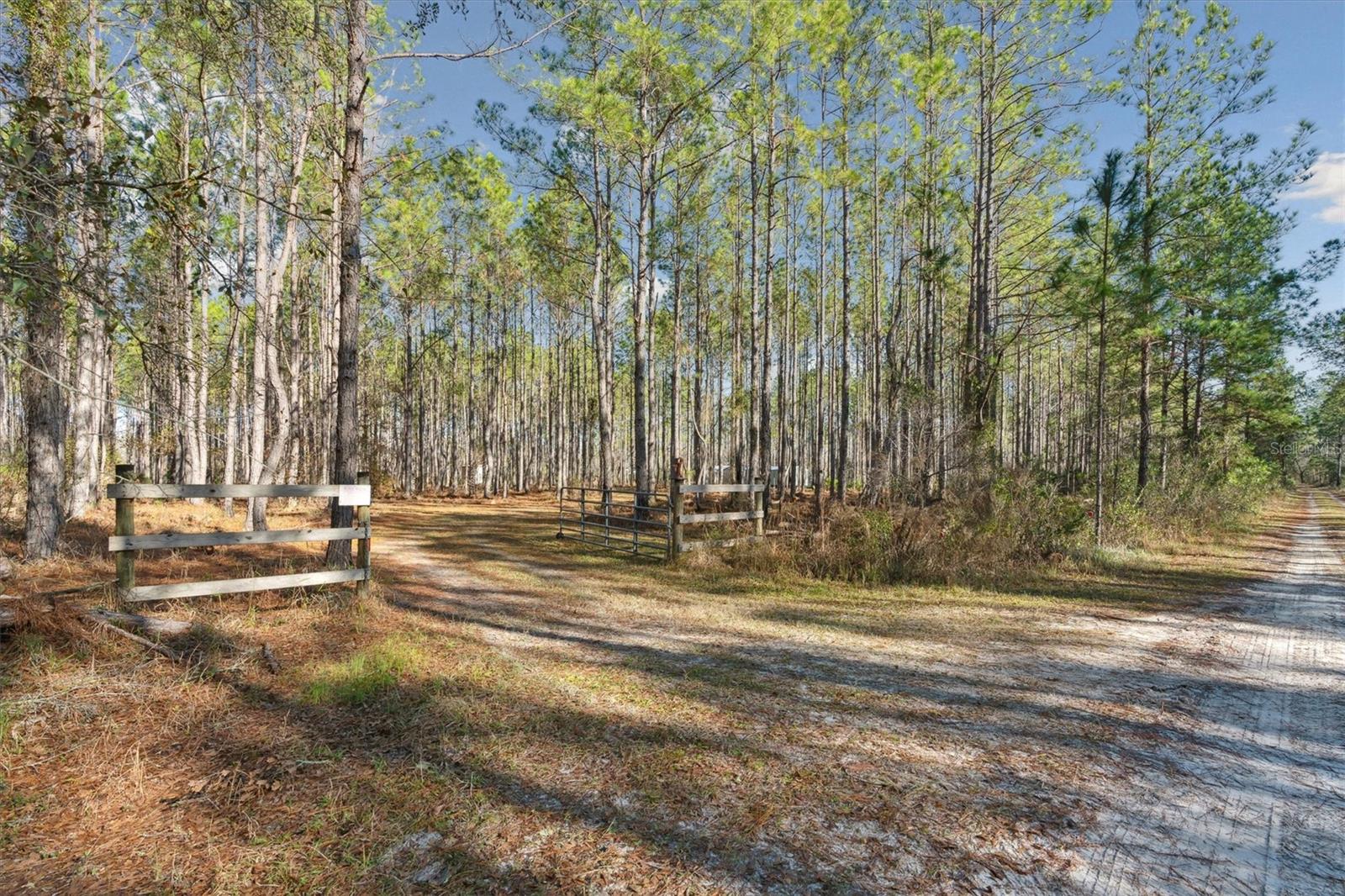 0000 NW CLYATT ROAD, CHIEFLAND, FL, 32626